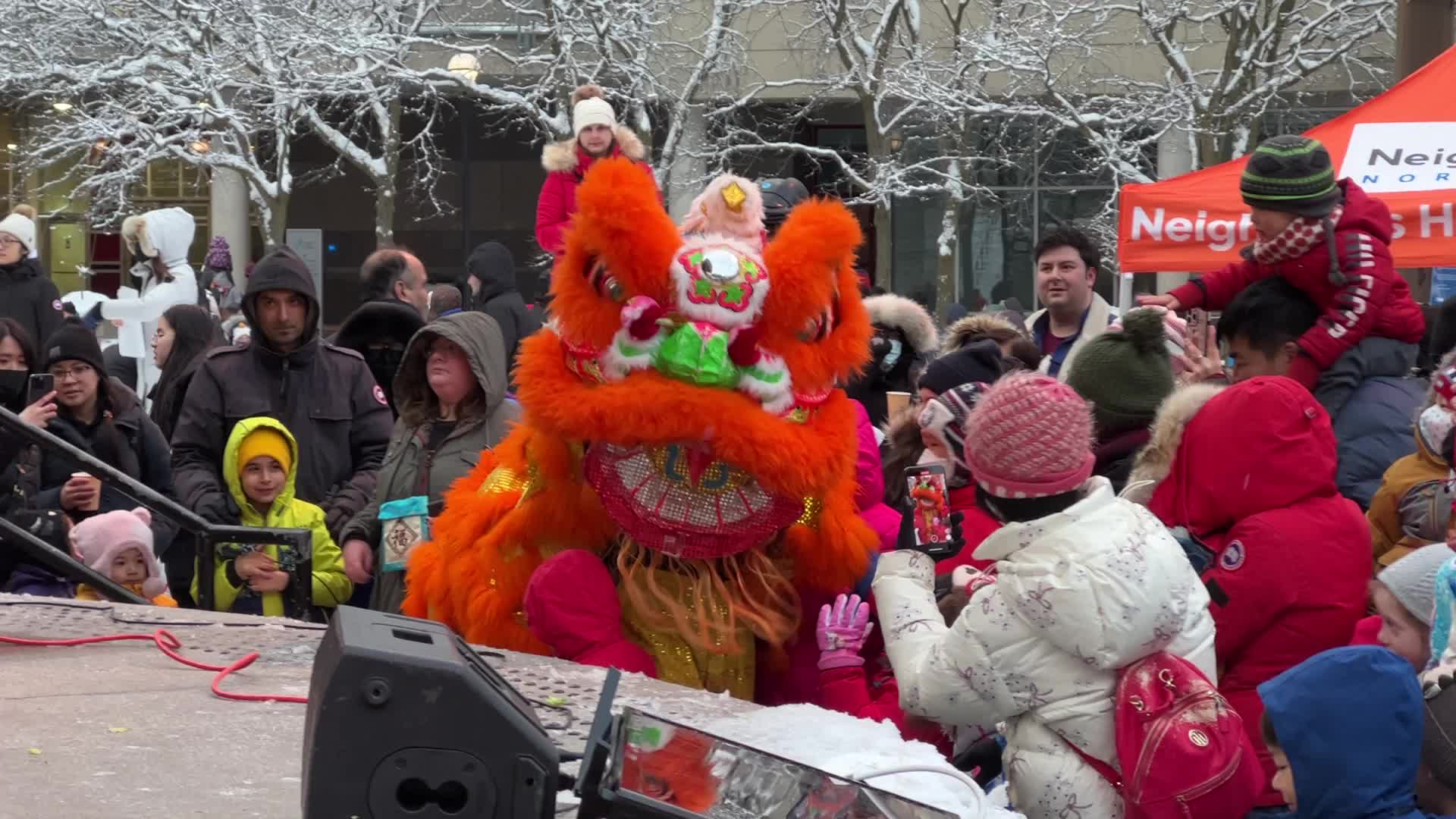 Lunar New Year Celebration in Toronto
