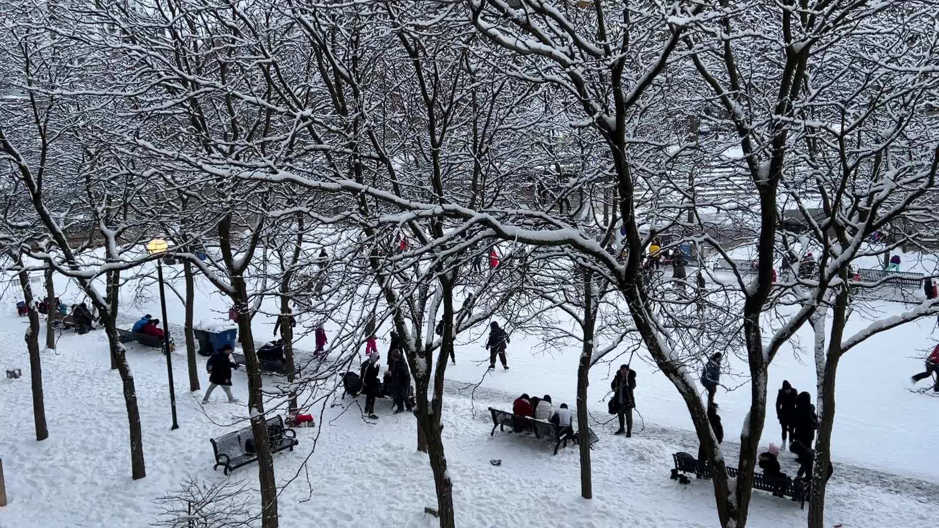 Daily life during Winter in Toronto
