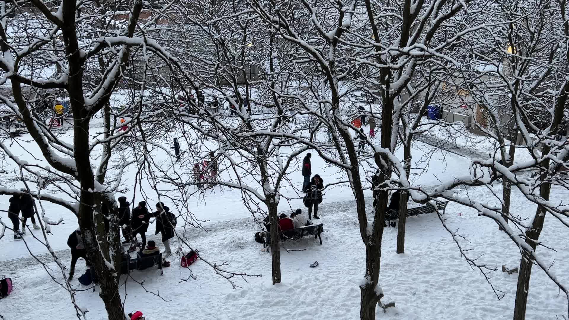 Daily life during Winter in Toronto