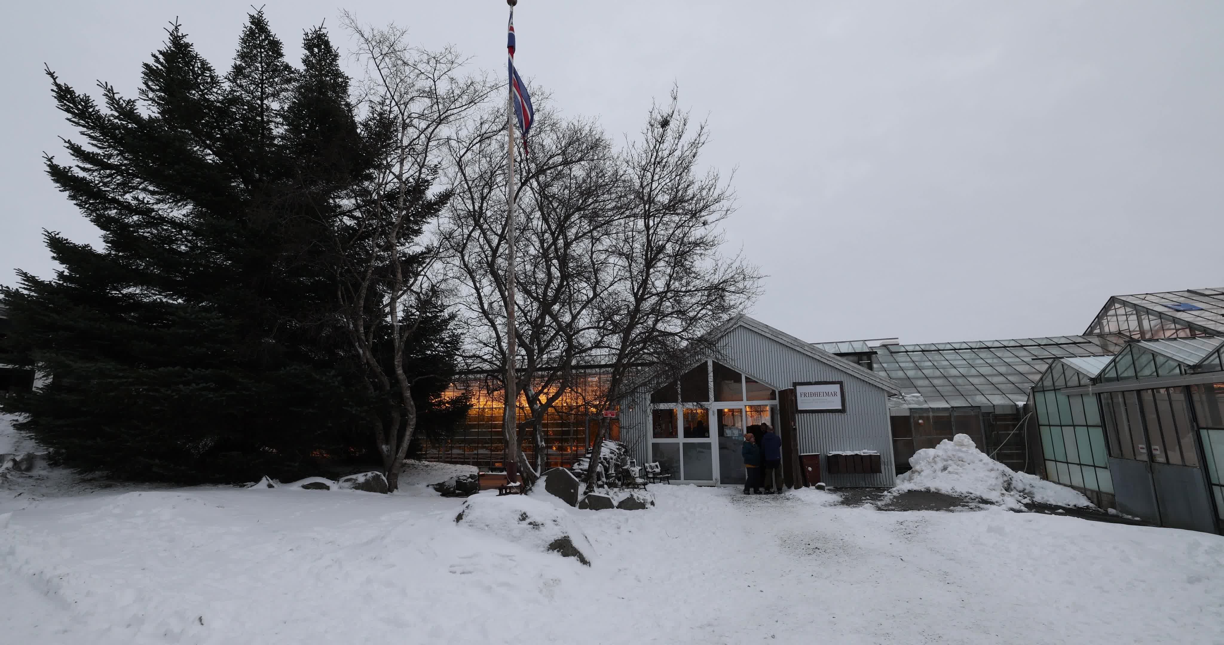Friðheimar Greenhouse In Iceland