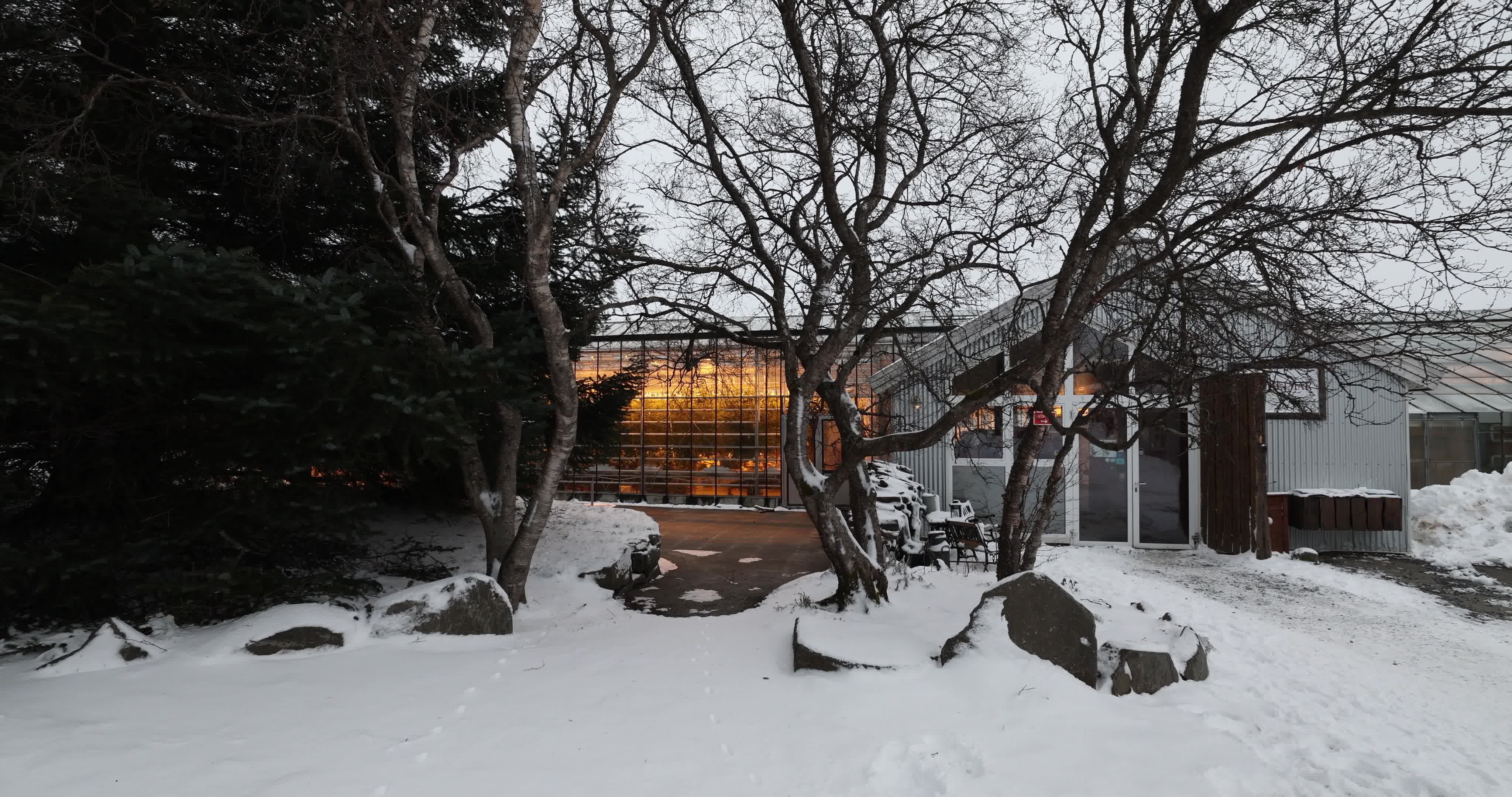 Friðheimar Greenhouse In Iceland