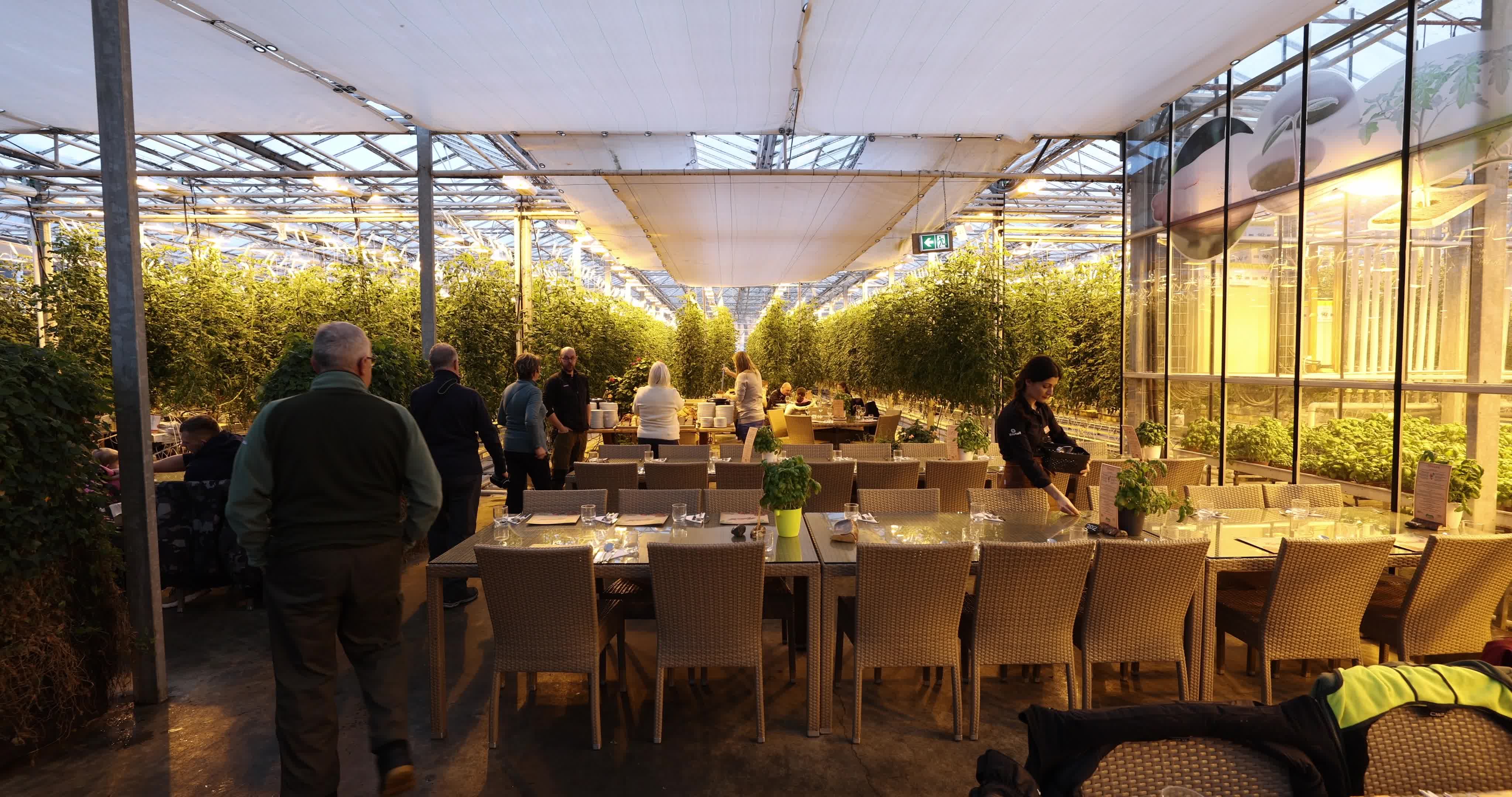 Friðheimar Greenhouse In Iceland