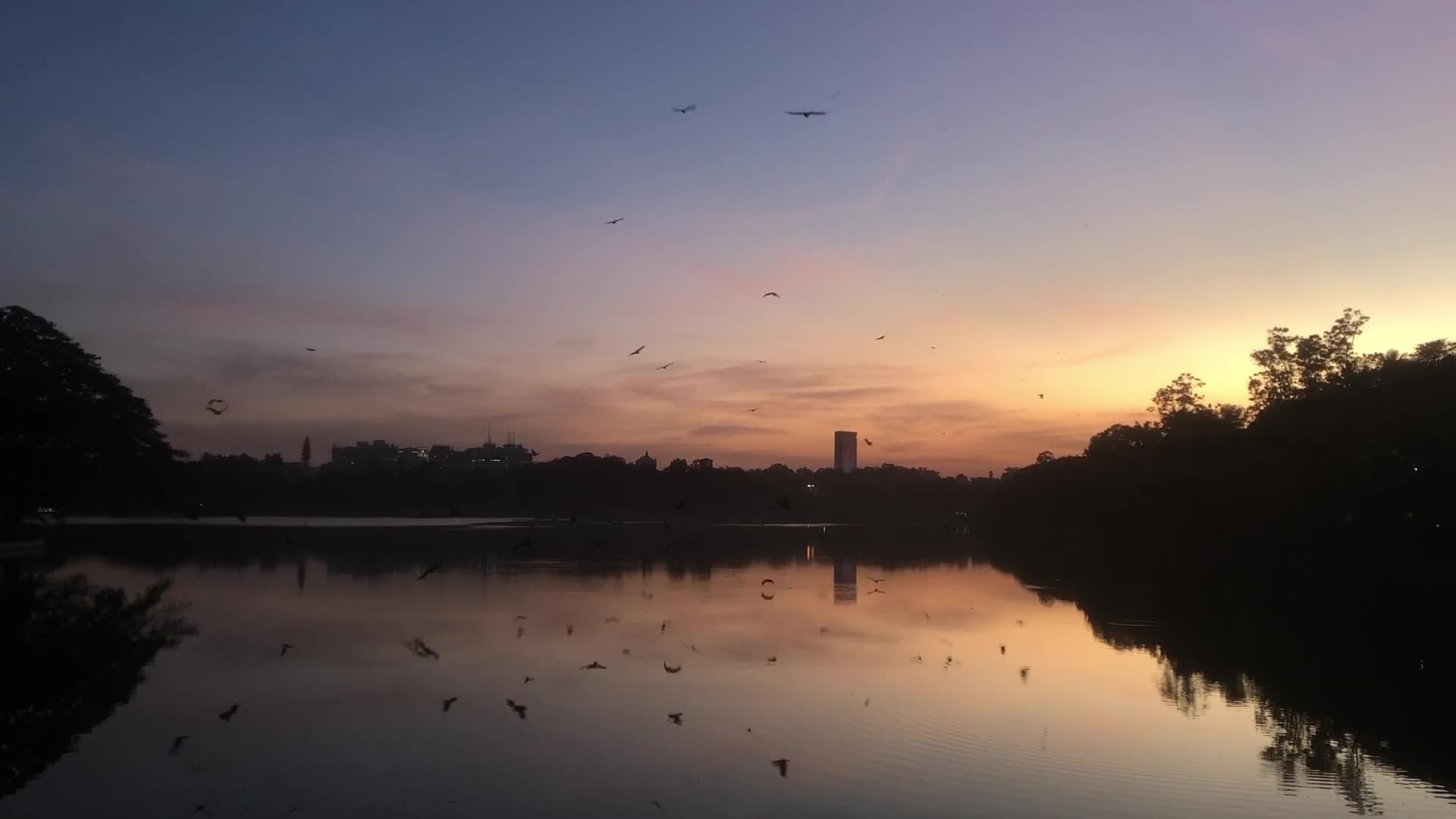 Sunset in Bangalore, Karnataka, India