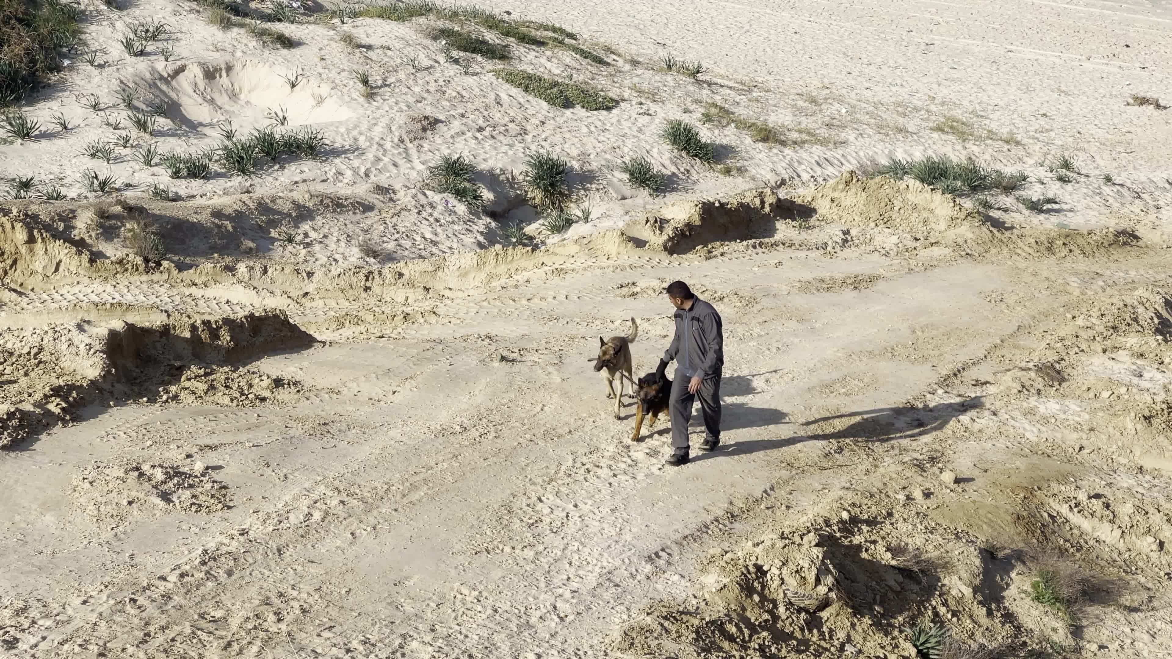 Academy for dogs for Protection, Rehabilitation and Training In Gaza, Palestine