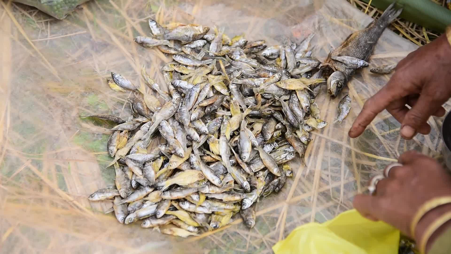 Centuries-old barter system alive in India 