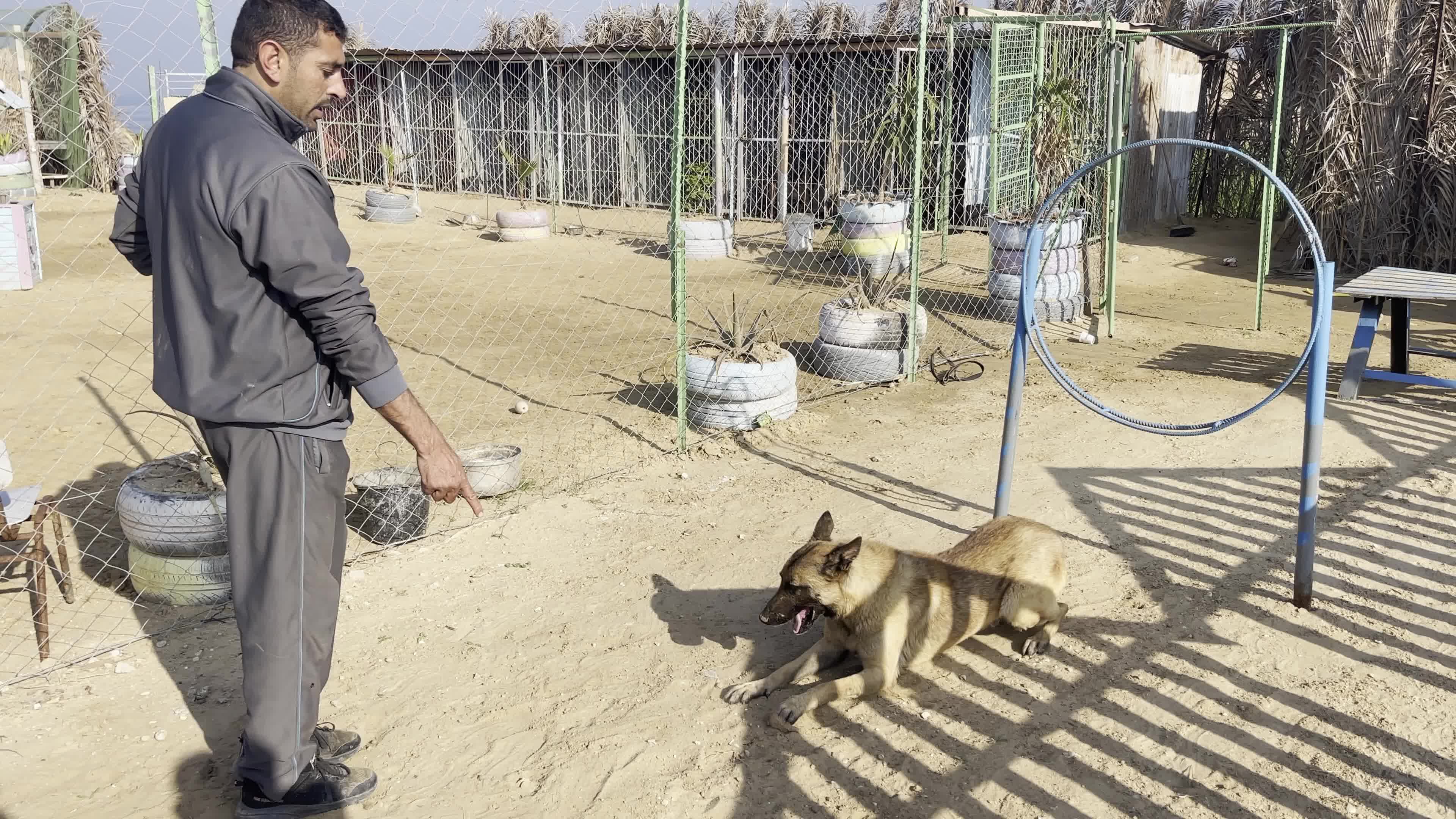 Academy for dogs for Protection, Rehabilitation and Training In Gaza, Palestine