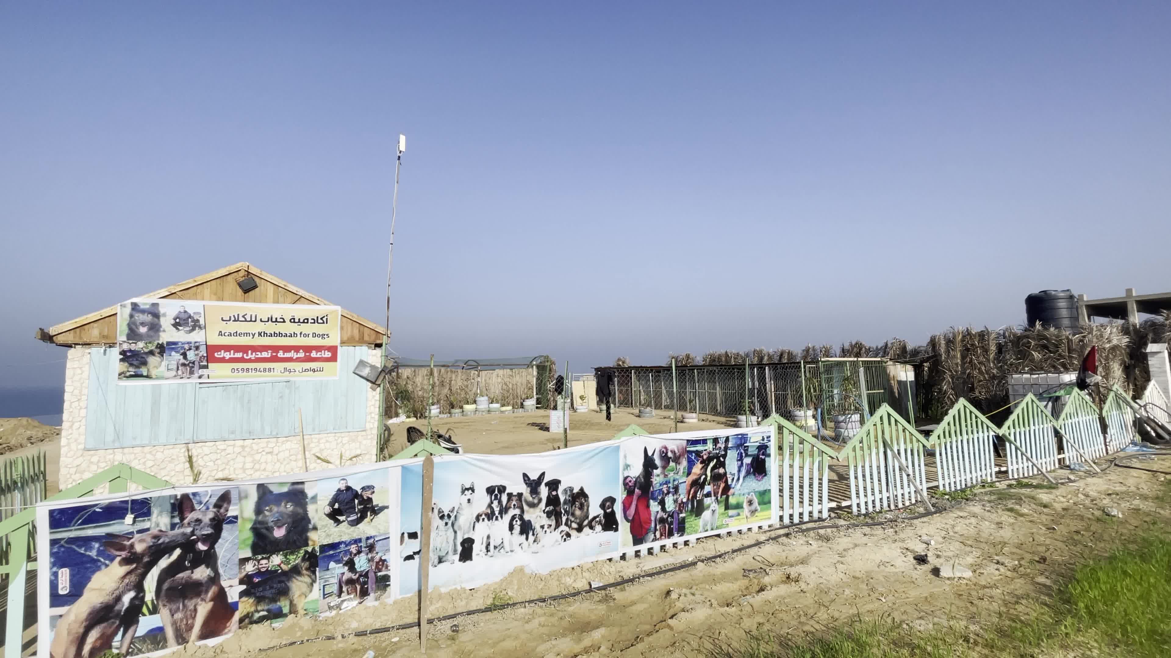 Academy for dogs for Protection, Rehabilitation and Training In Gaza, Palestine