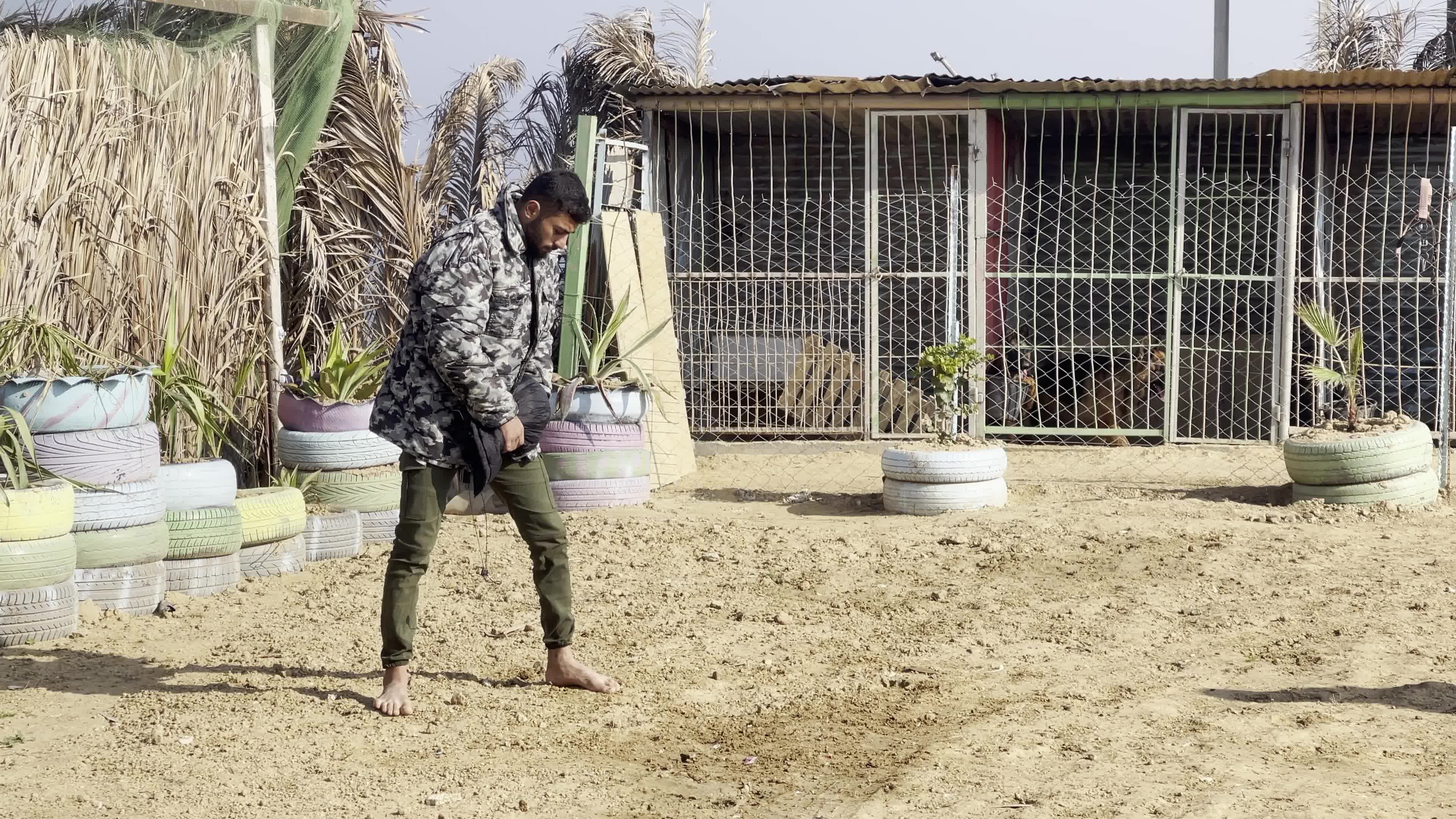 Academy for dogs for Protection, Rehabilitation and Training In Gaza, Palestine