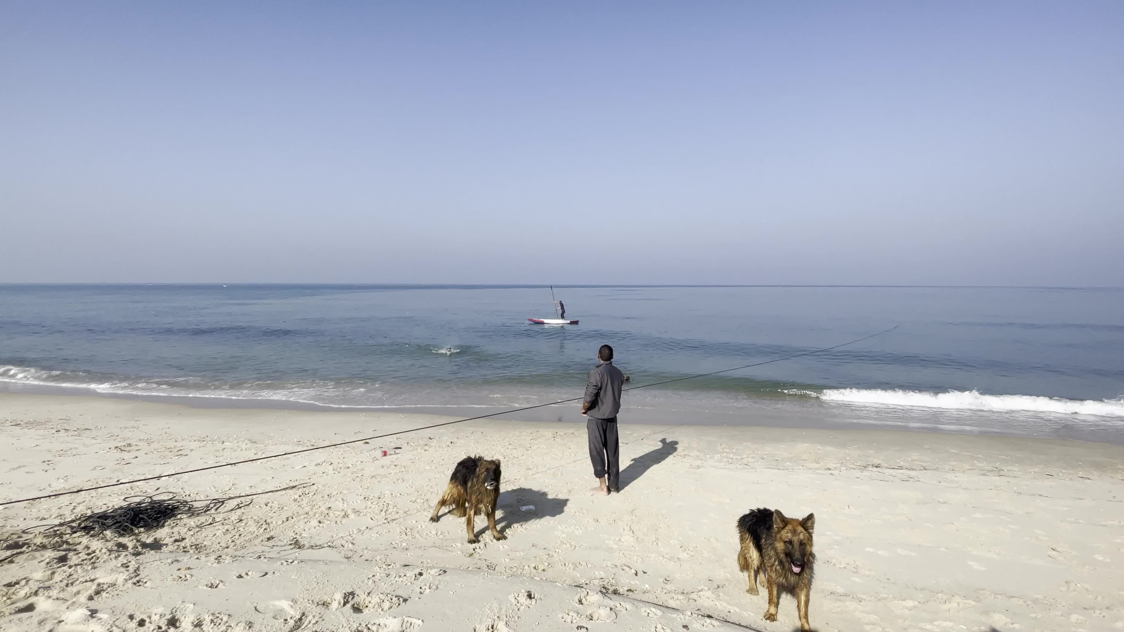 Academy for dogs for Protection, Rehabilitation and Training In Gaza, Palestine