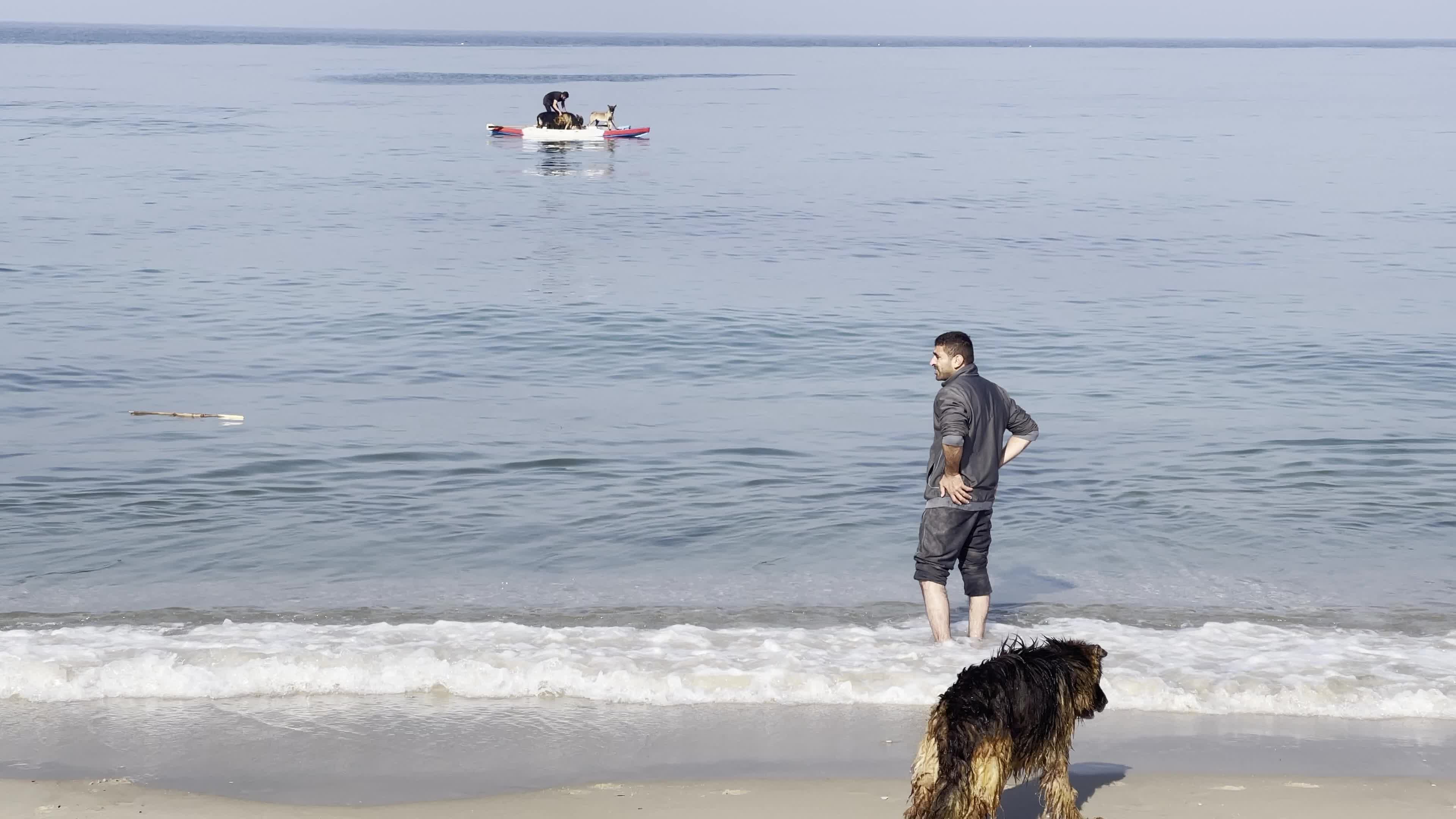 Academy for dogs for Protection, Rehabilitation and Training In Gaza, Palestine