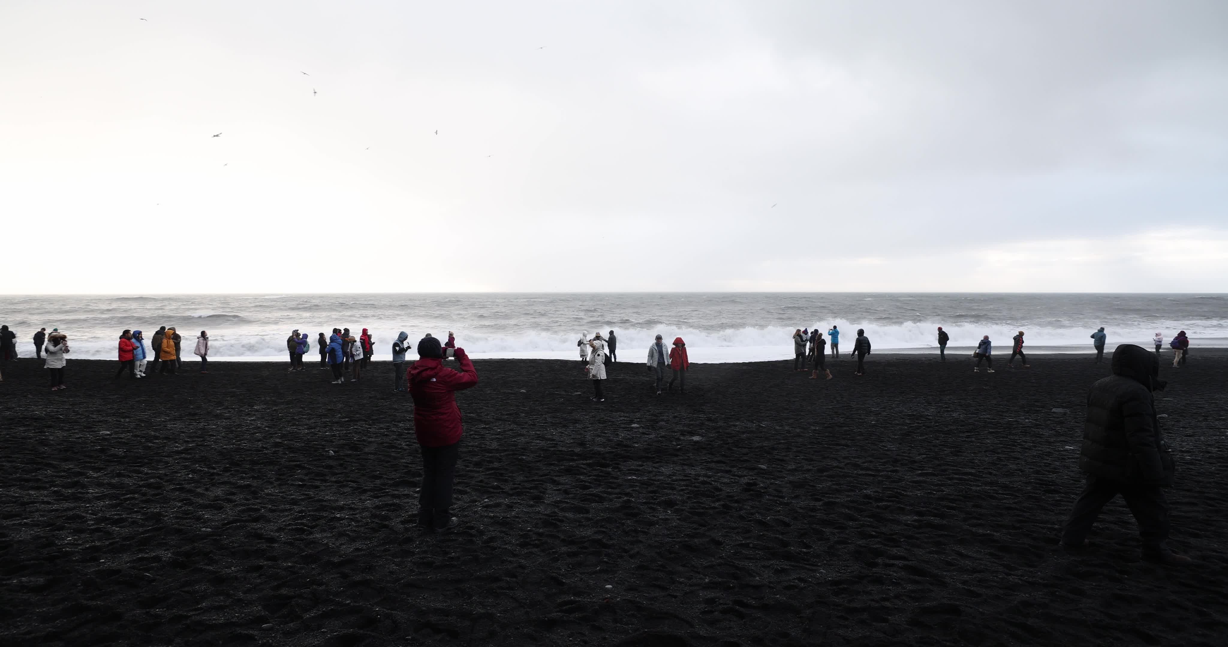 Reynisfjara Black Sand Beach in Iceland