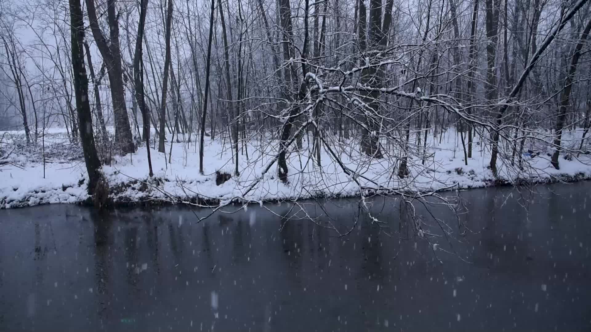 Fresh snowfall in Kashmir.