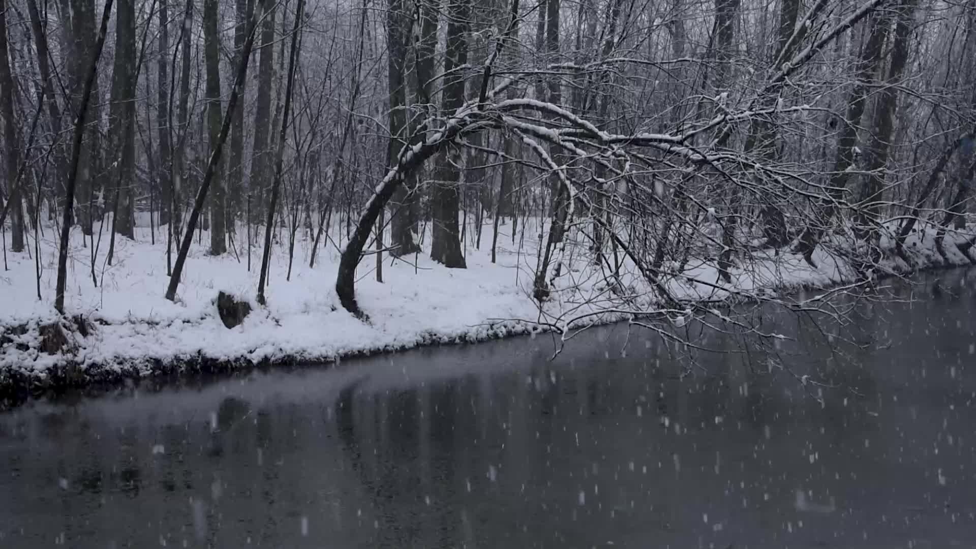 Fresh snowfall in Kashmir.