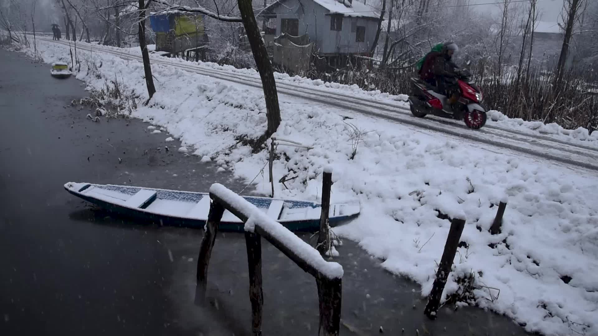 Fresh snowfall in Kashmir.