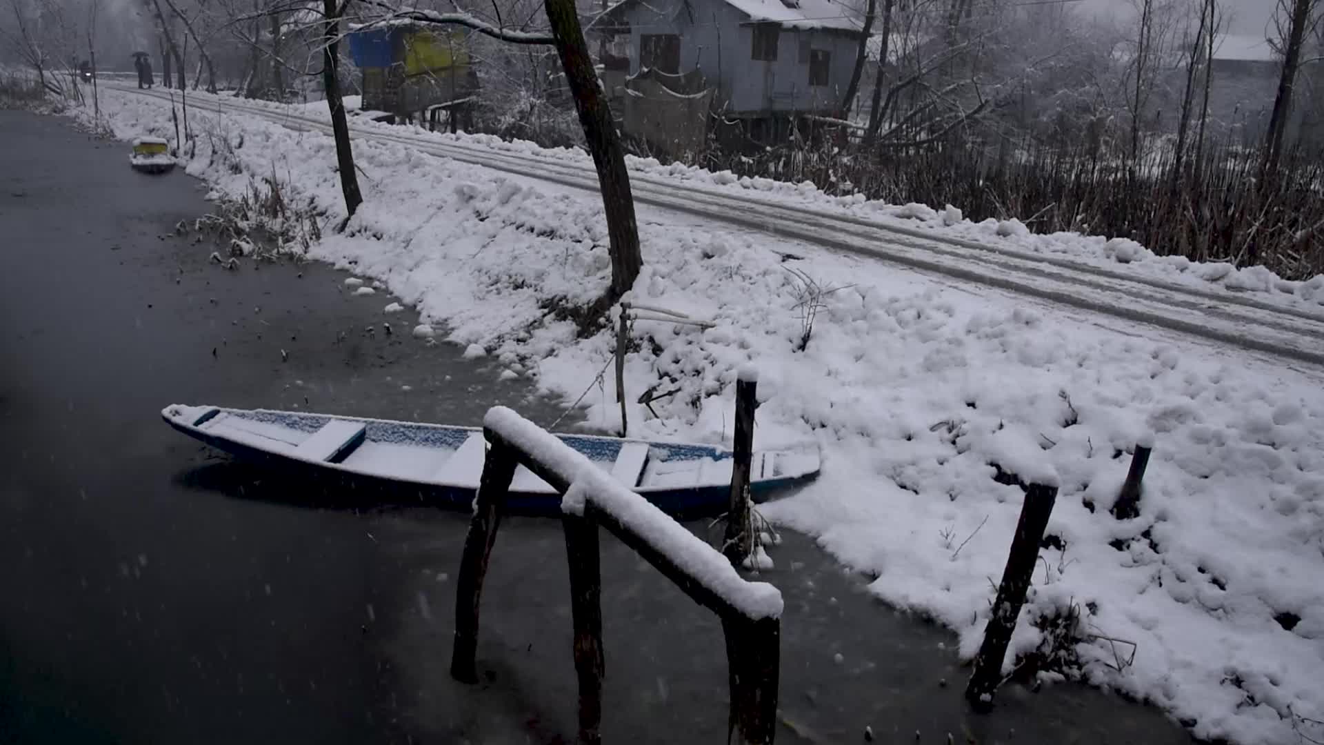 Fresh snowfall in Kashmir.