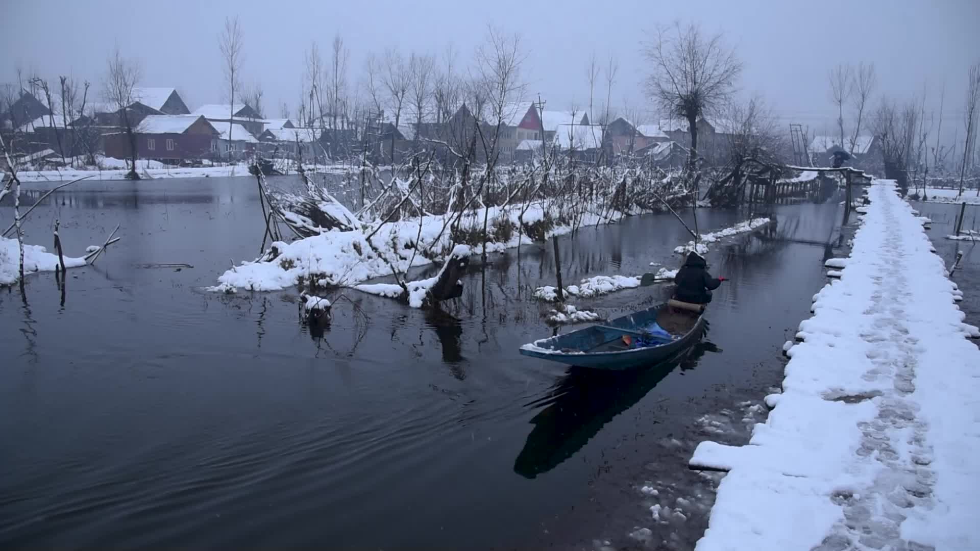 Fresh snowfall in Kashmir.