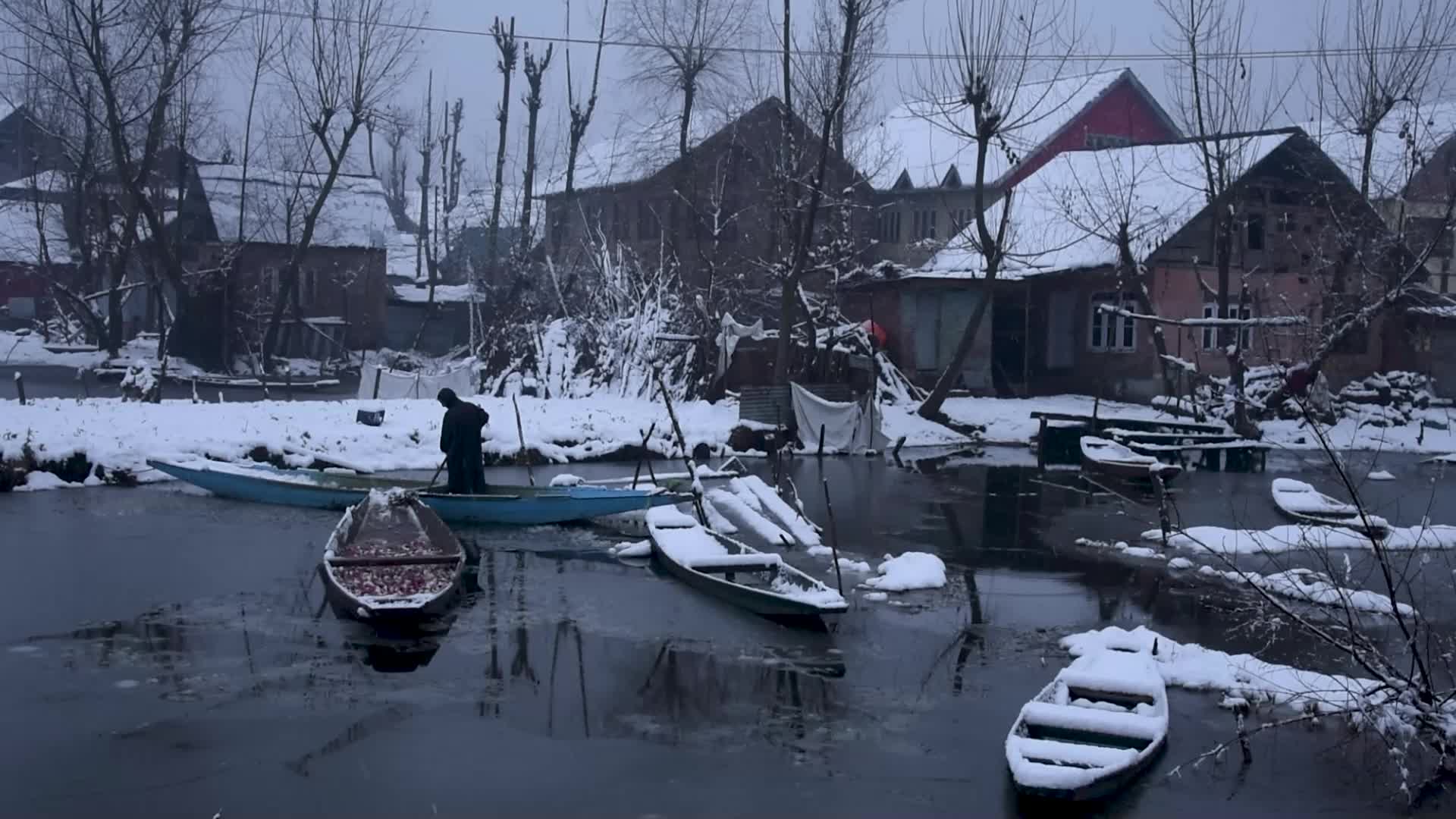 Fresh snowfall in Kashmir.