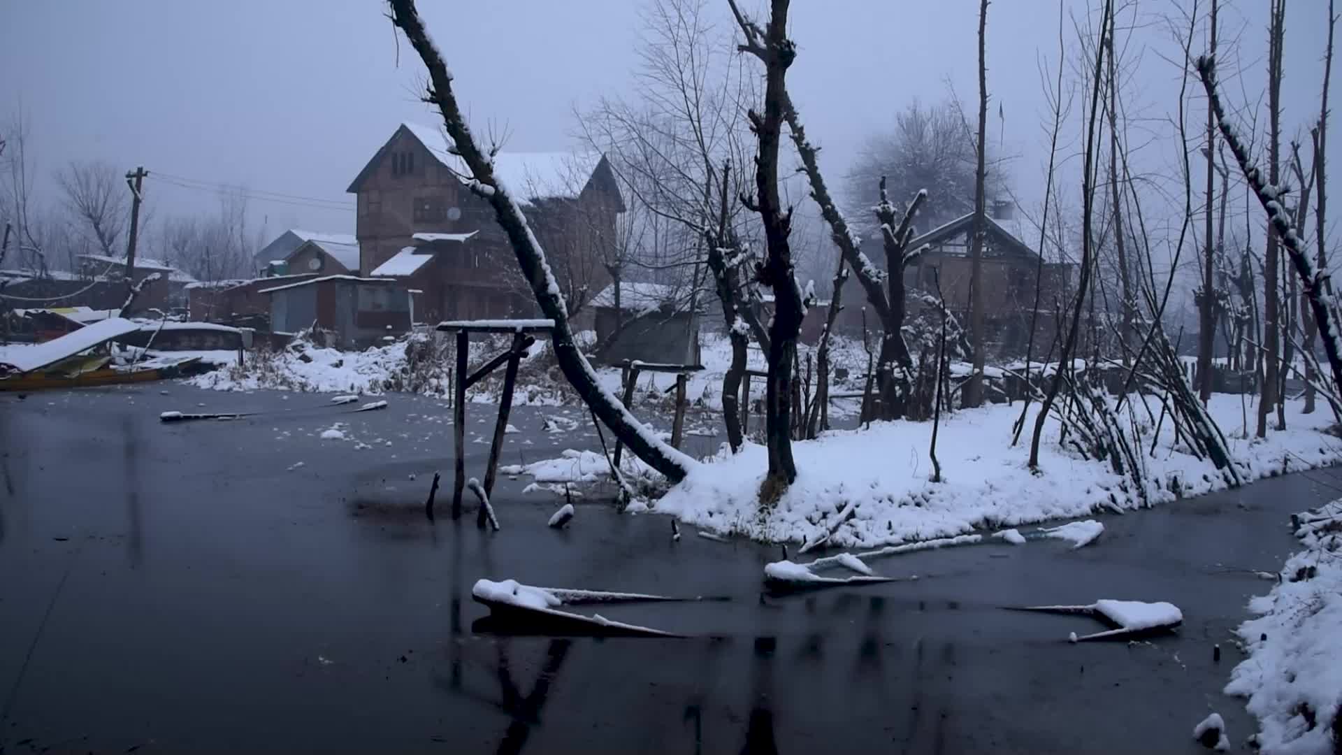 Fresh snowfall in Kashmir.