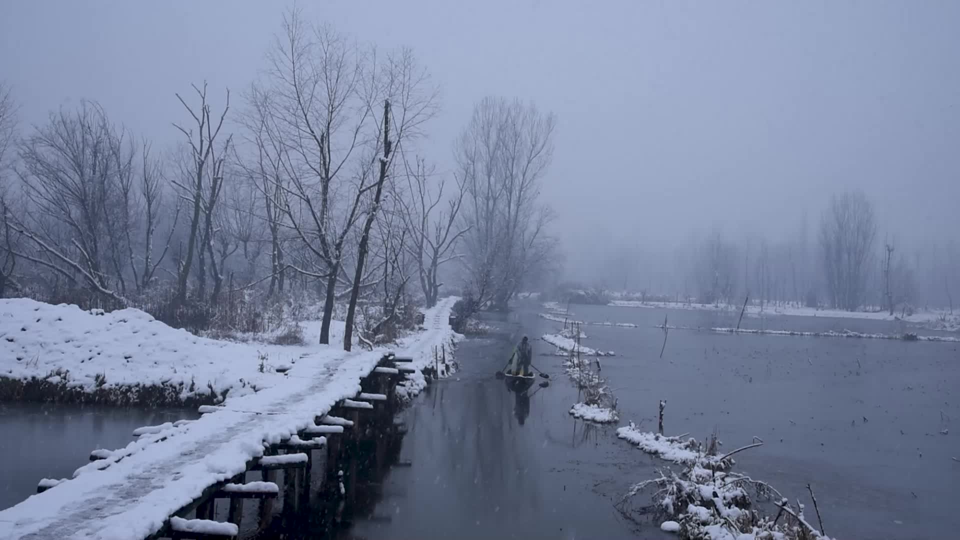 Fresh snowfall in Kashmir.