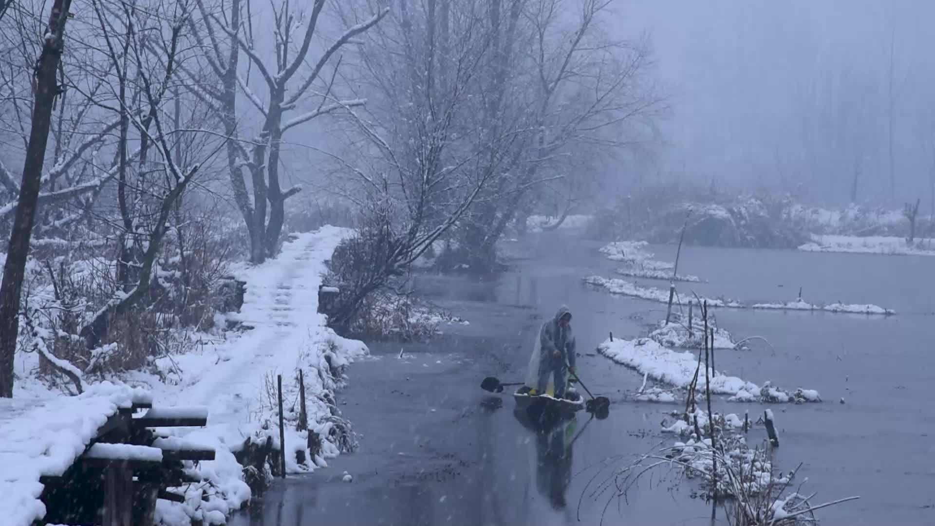 Fresh snowfall in Kashmir.
