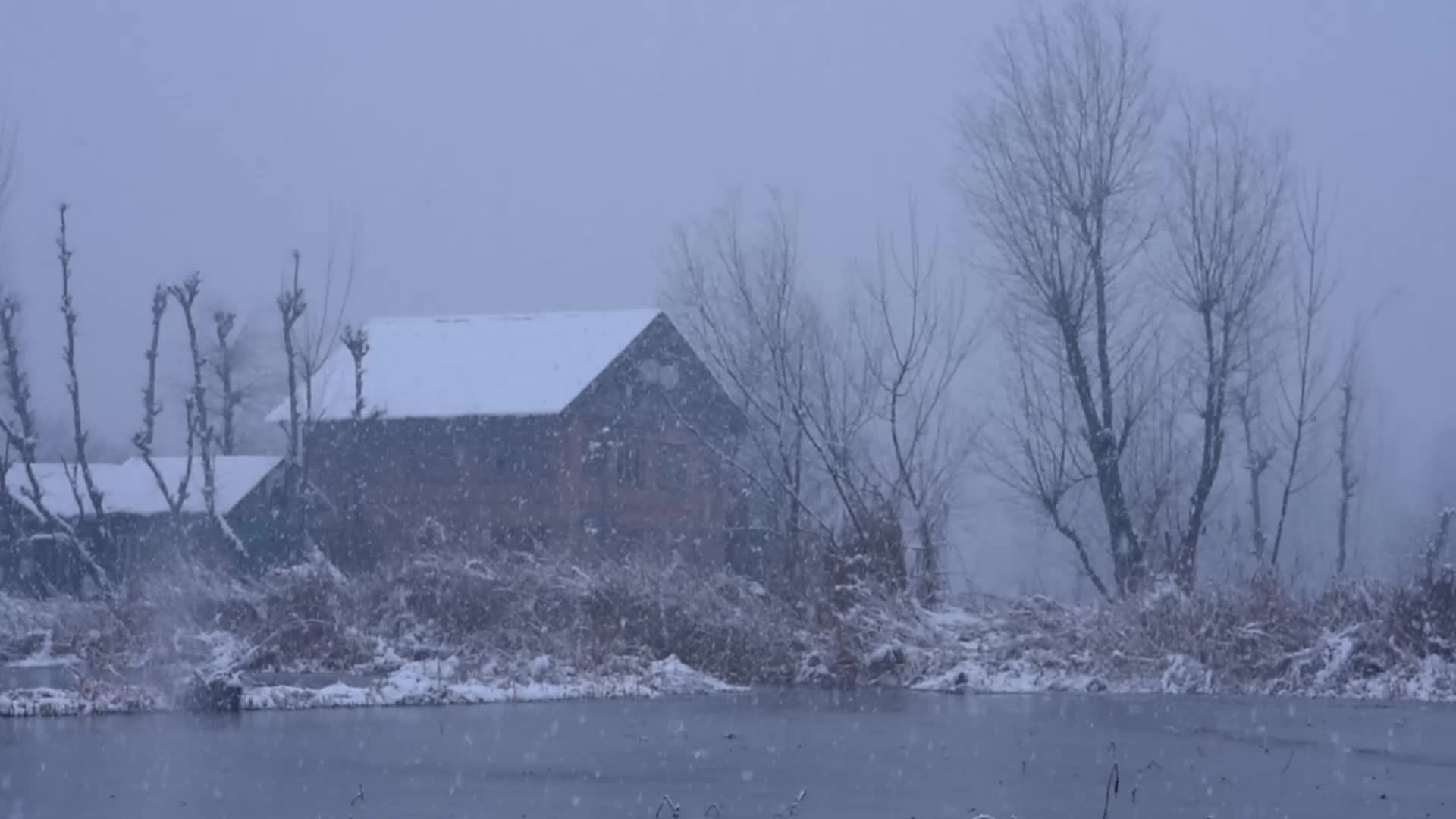 Fresh snowfall in Kashmir.