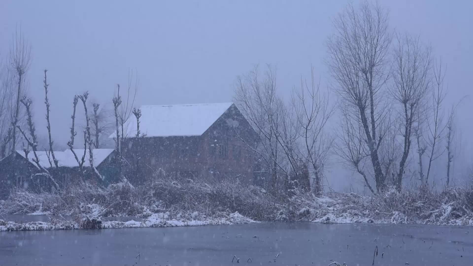 Fresh snowfall in Kashmir.