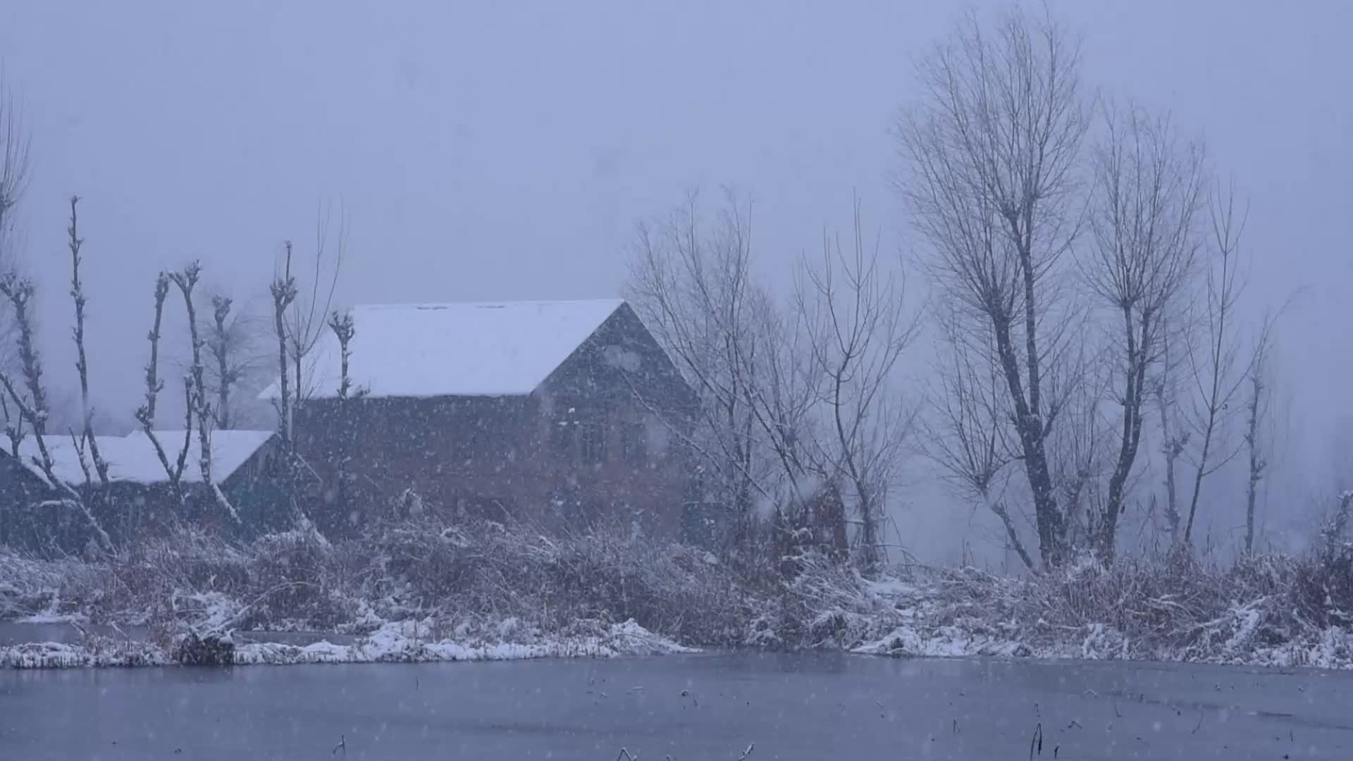 Fresh snowfall in Kashmir.