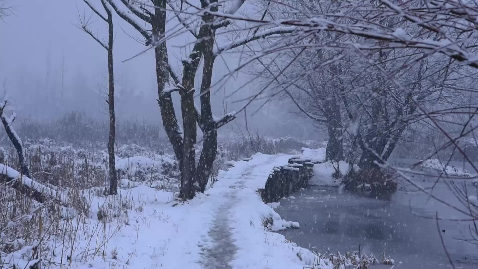 Fresh snowfall in Kashmir.