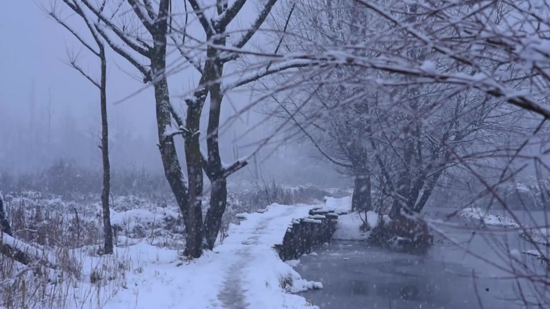 Fresh snowfall in Kashmir.