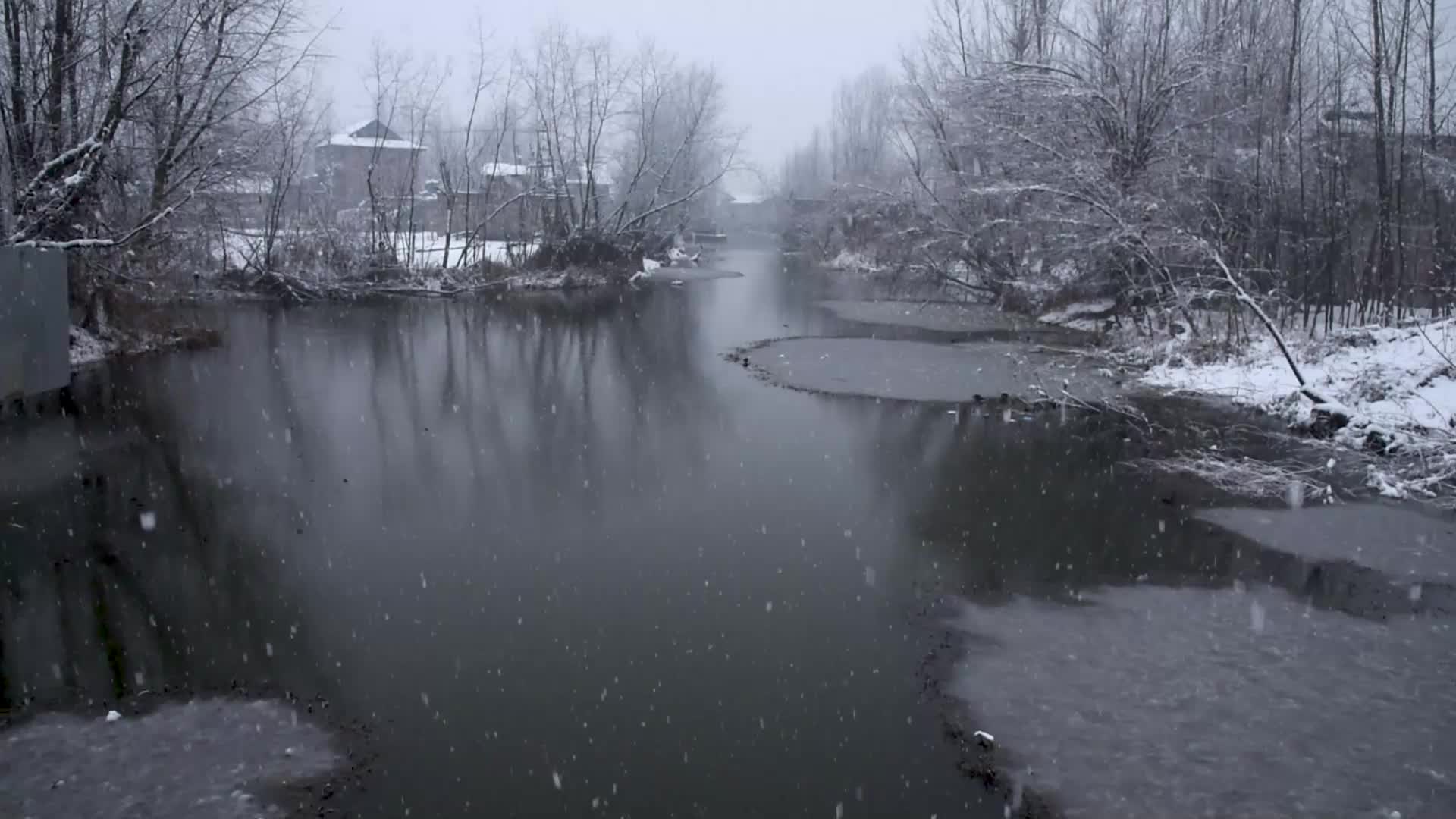 Fresh snowfall in Kashmir.