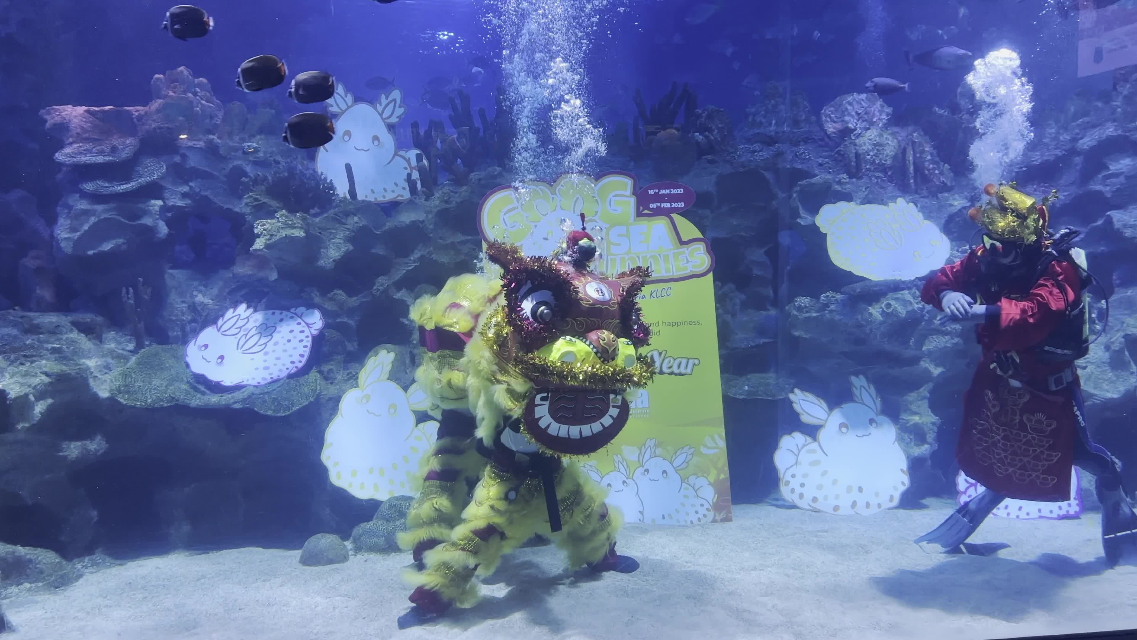 Lunar New Year Underwater Lion Dance