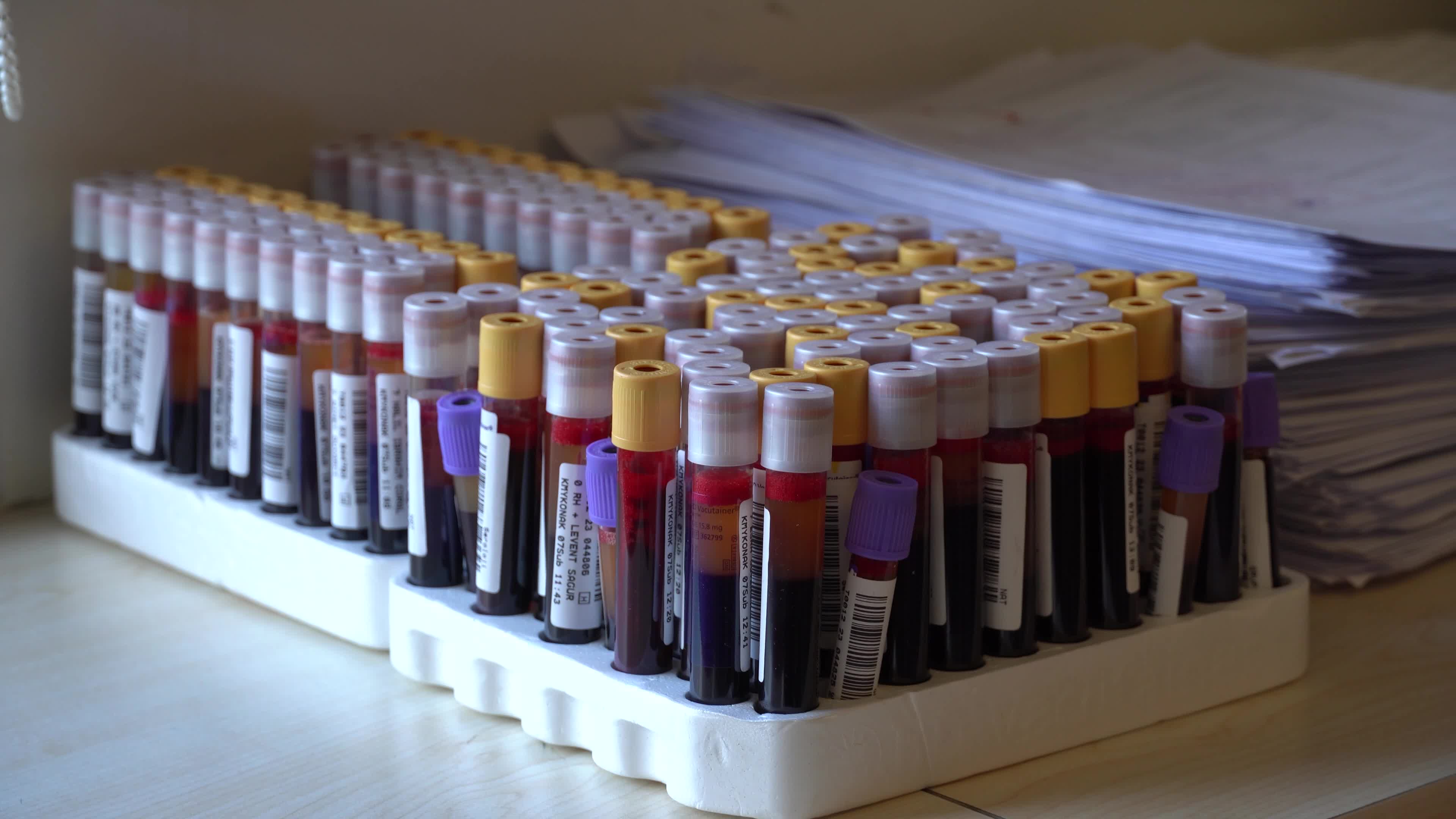 Blood Donations, Izmir, Turkey