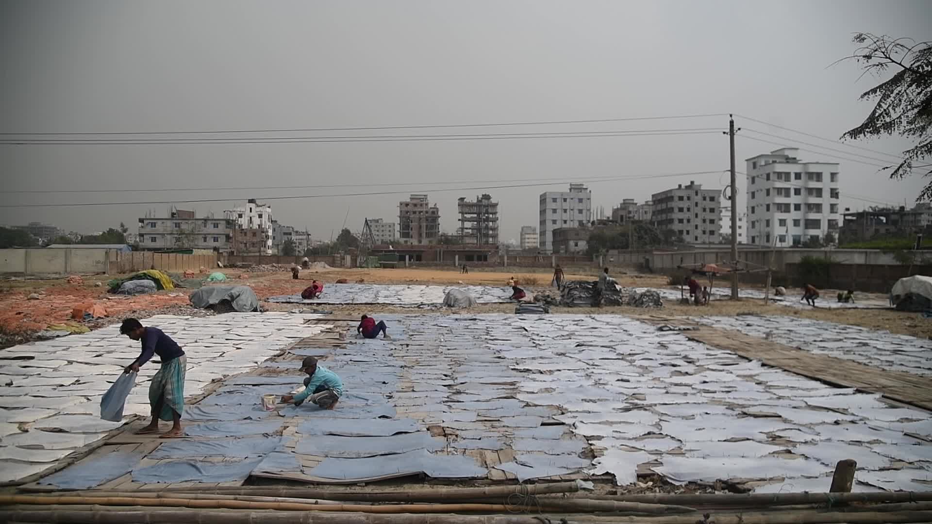 Leather Workers In Dhaka, Bangladesh