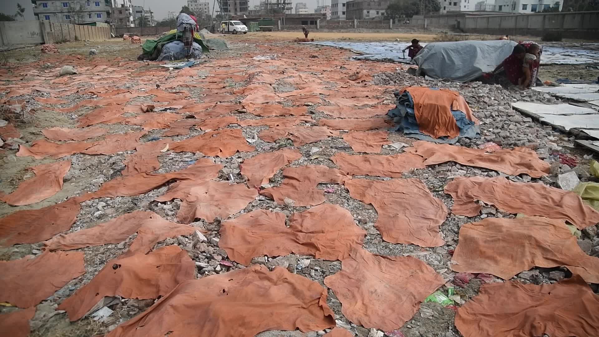 Leather Workers In Dhaka, Bangladesh