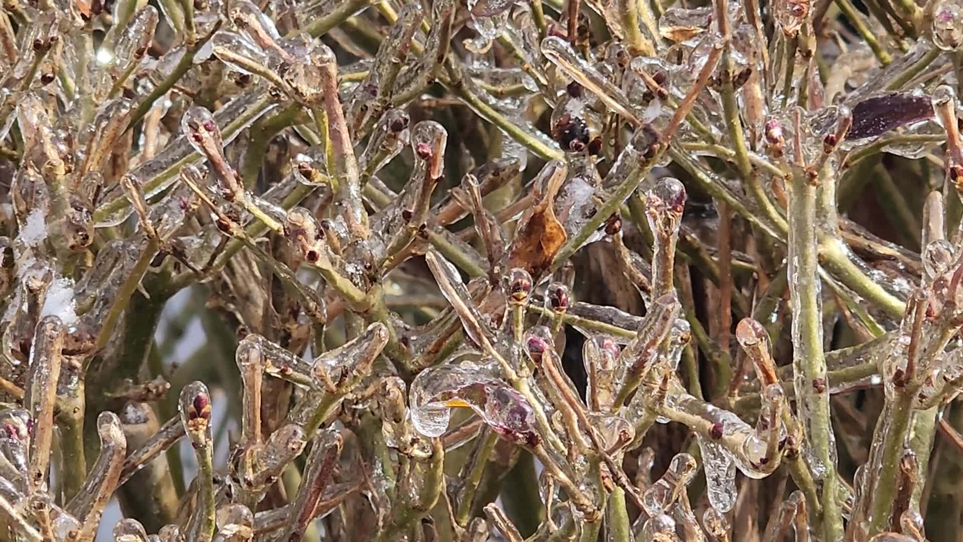 Ice storm in Toronto