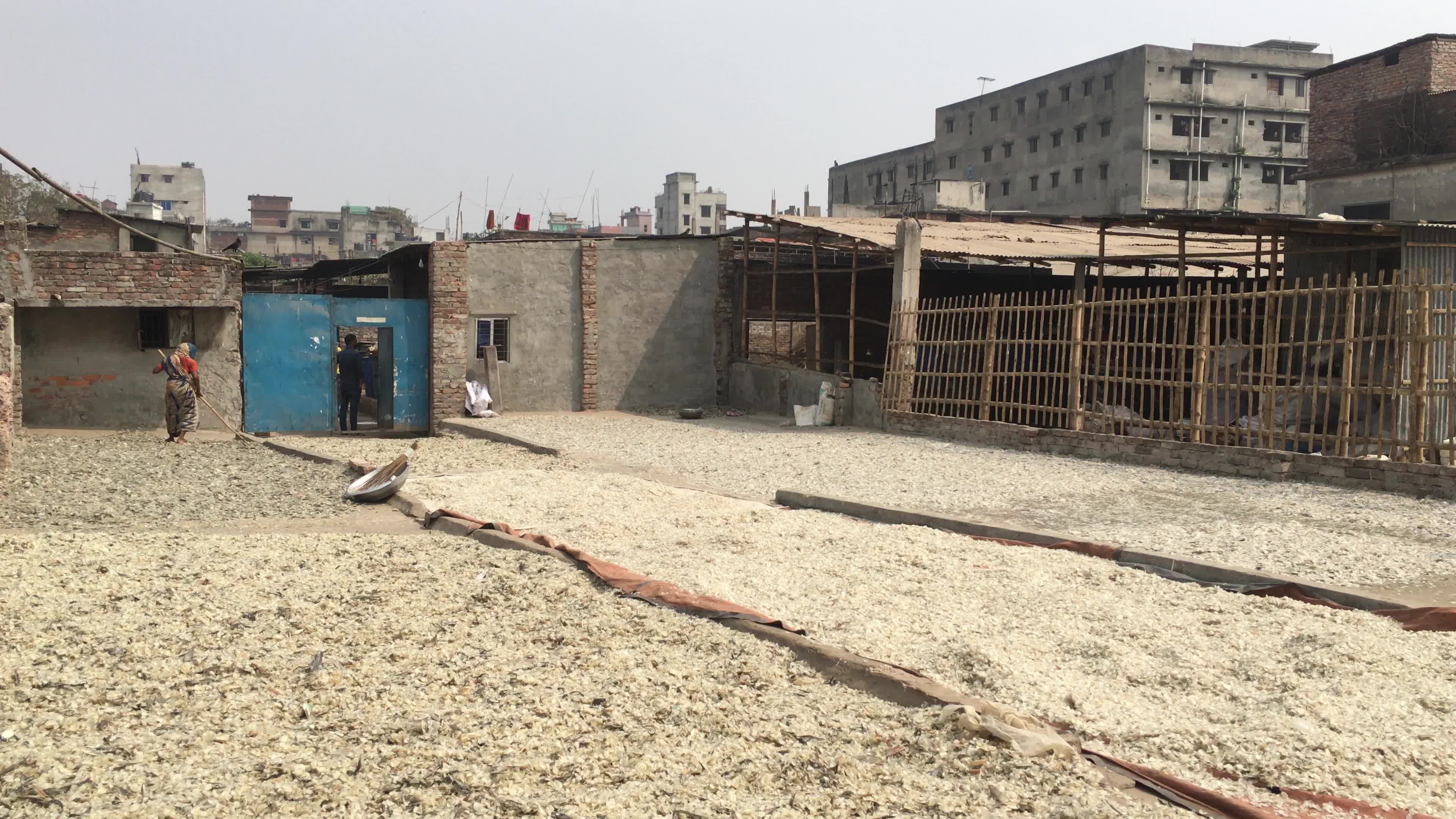 Fish By-product Processing Industry In Dhaka

