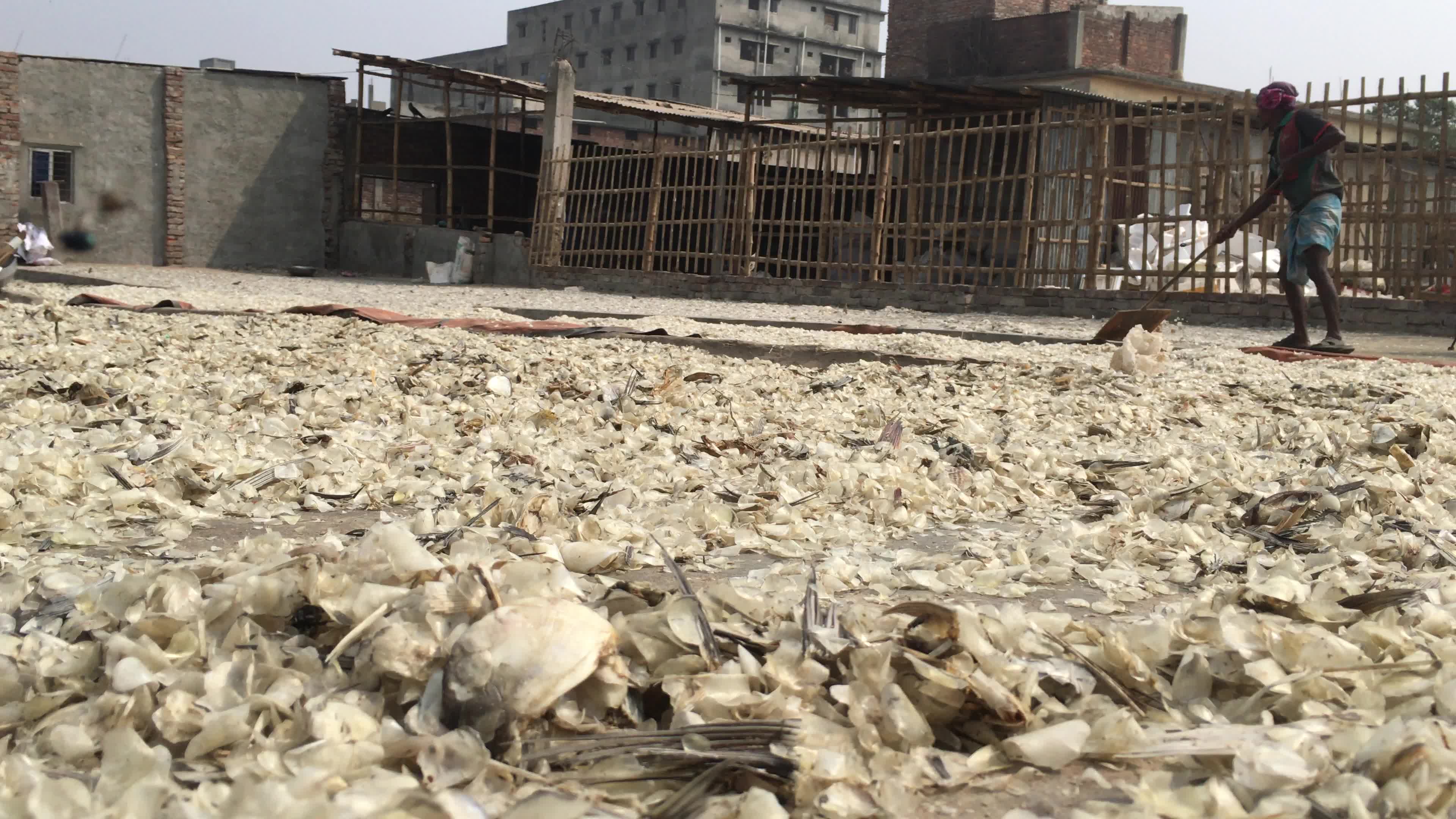 Fish By-product Processing Industry In Dhaka
