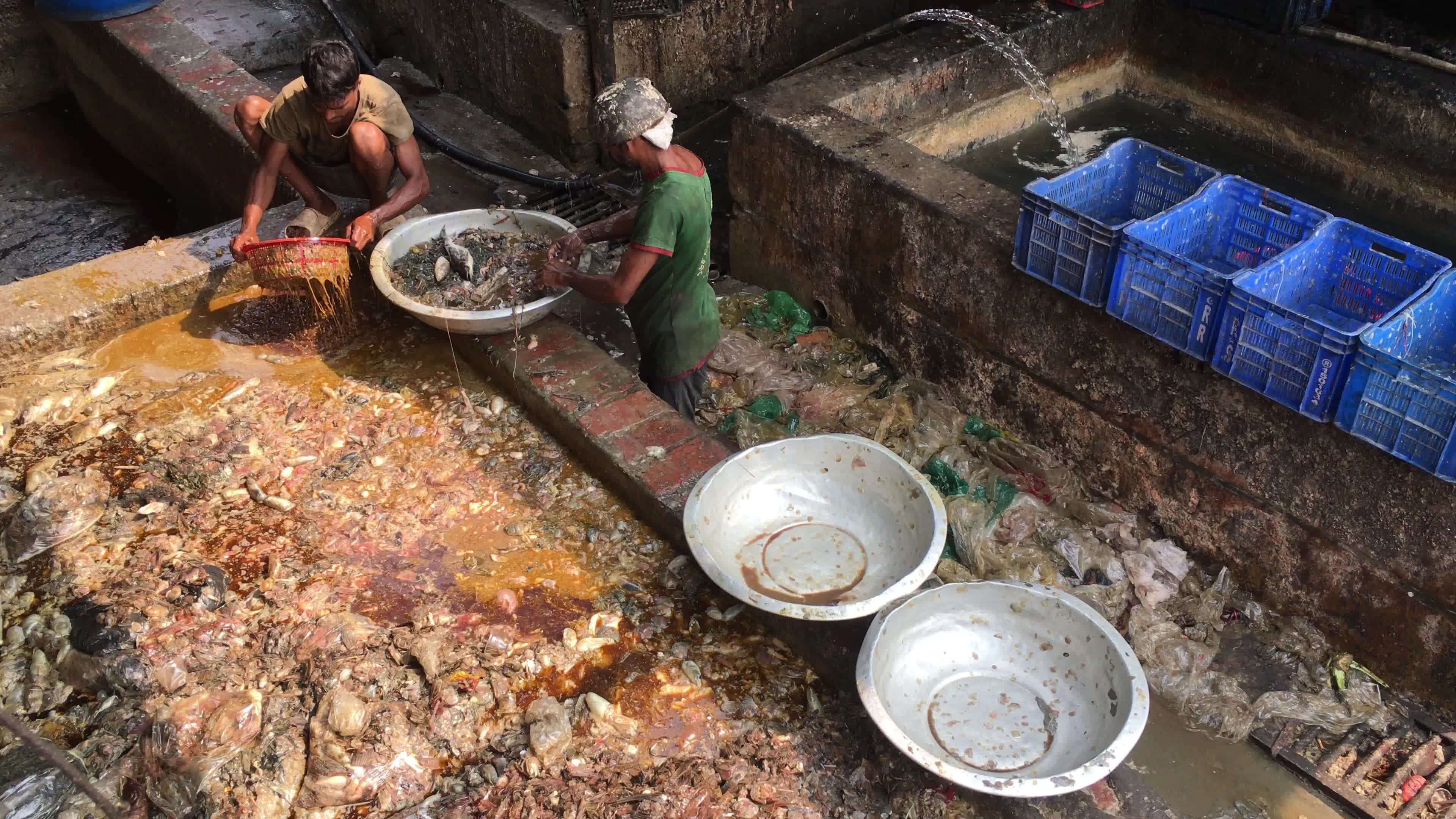 Fish By-product Processing Industry In Dhaka

