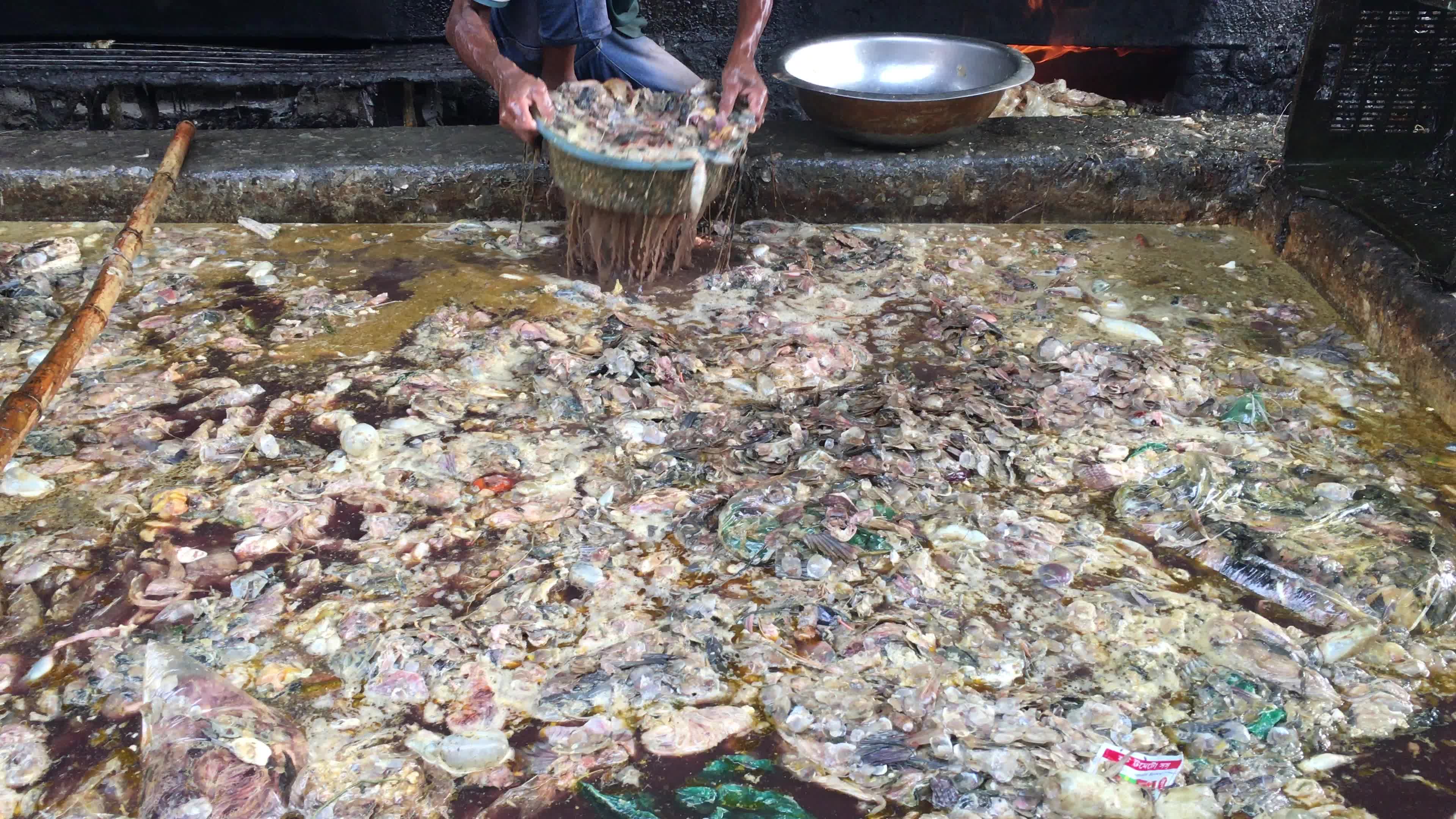 Fish By-product Processing Industry In Dhaka
