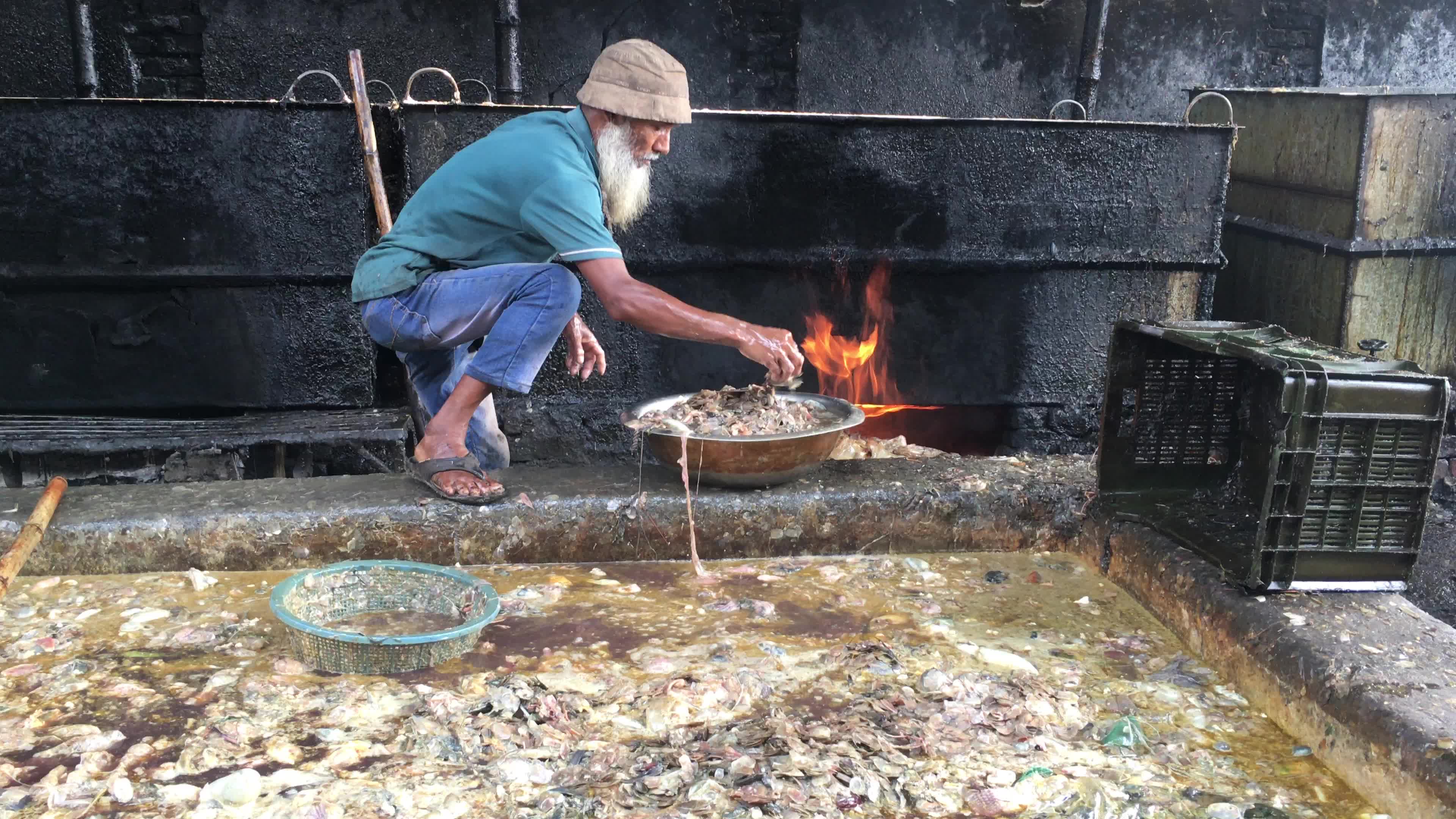 Fish By-product Processing Industry In Dhaka
