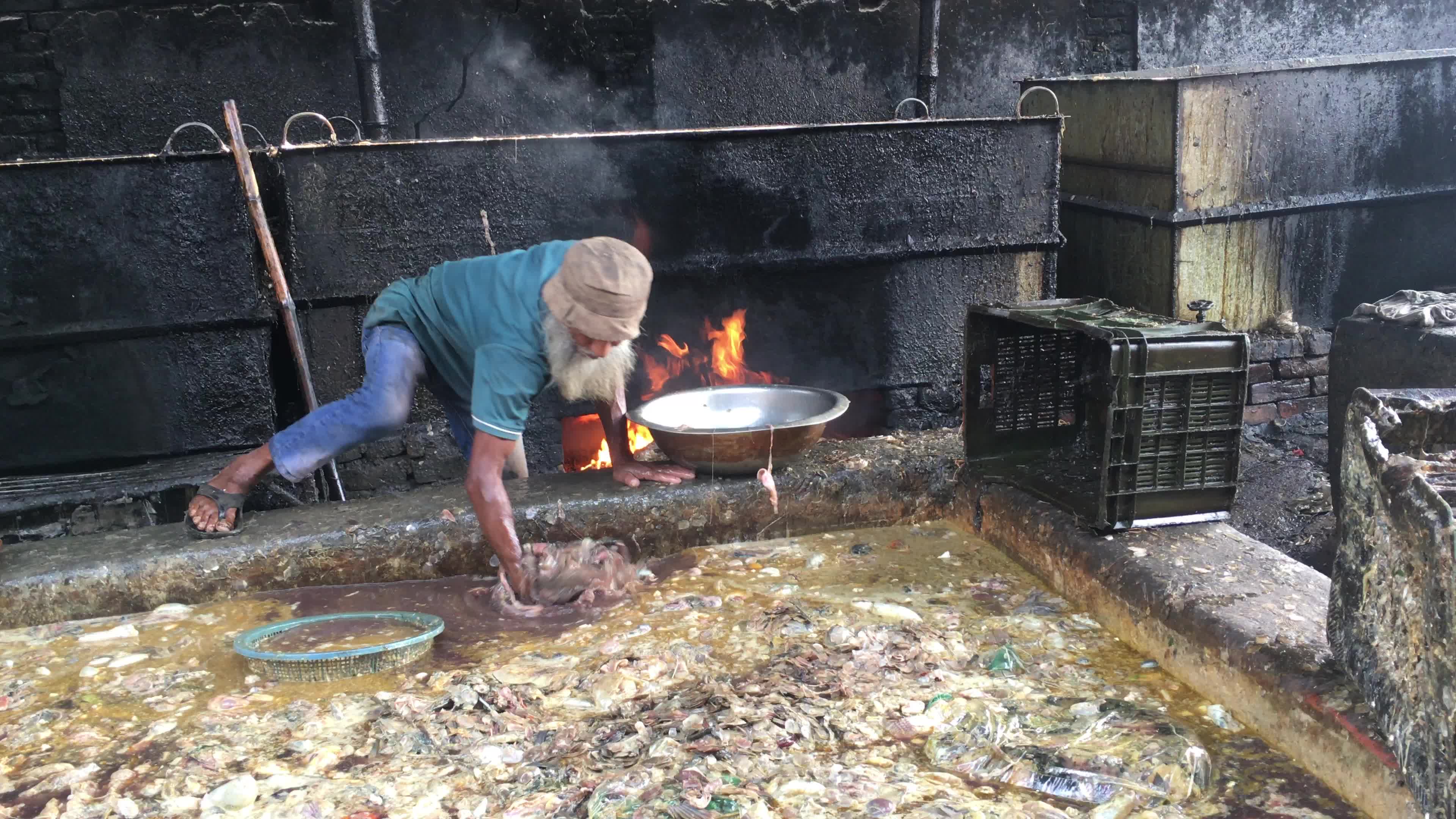 Fish By-product Processing Industry In Dhaka
