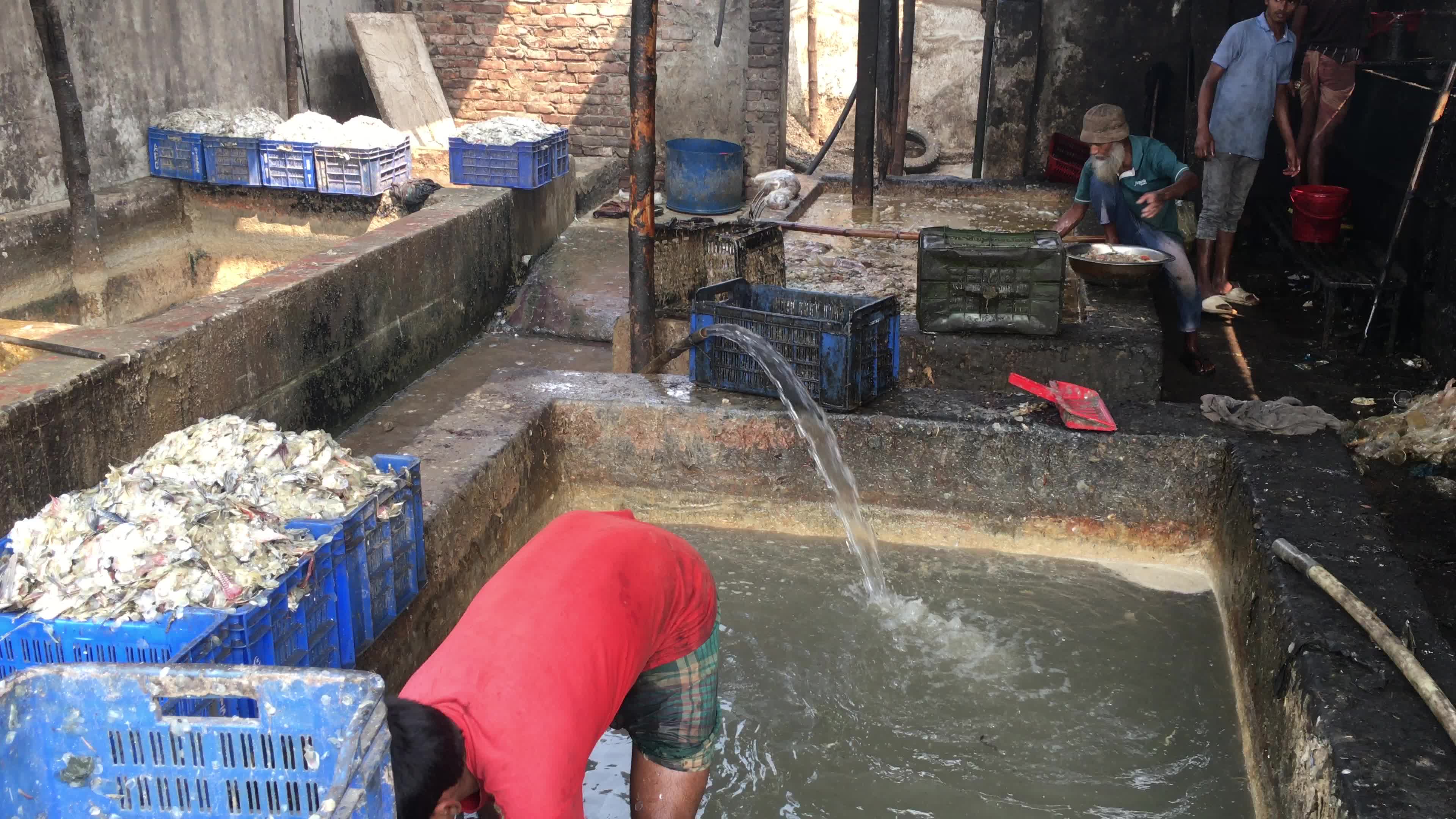 Fish By-product Processing Industry In Dhaka
