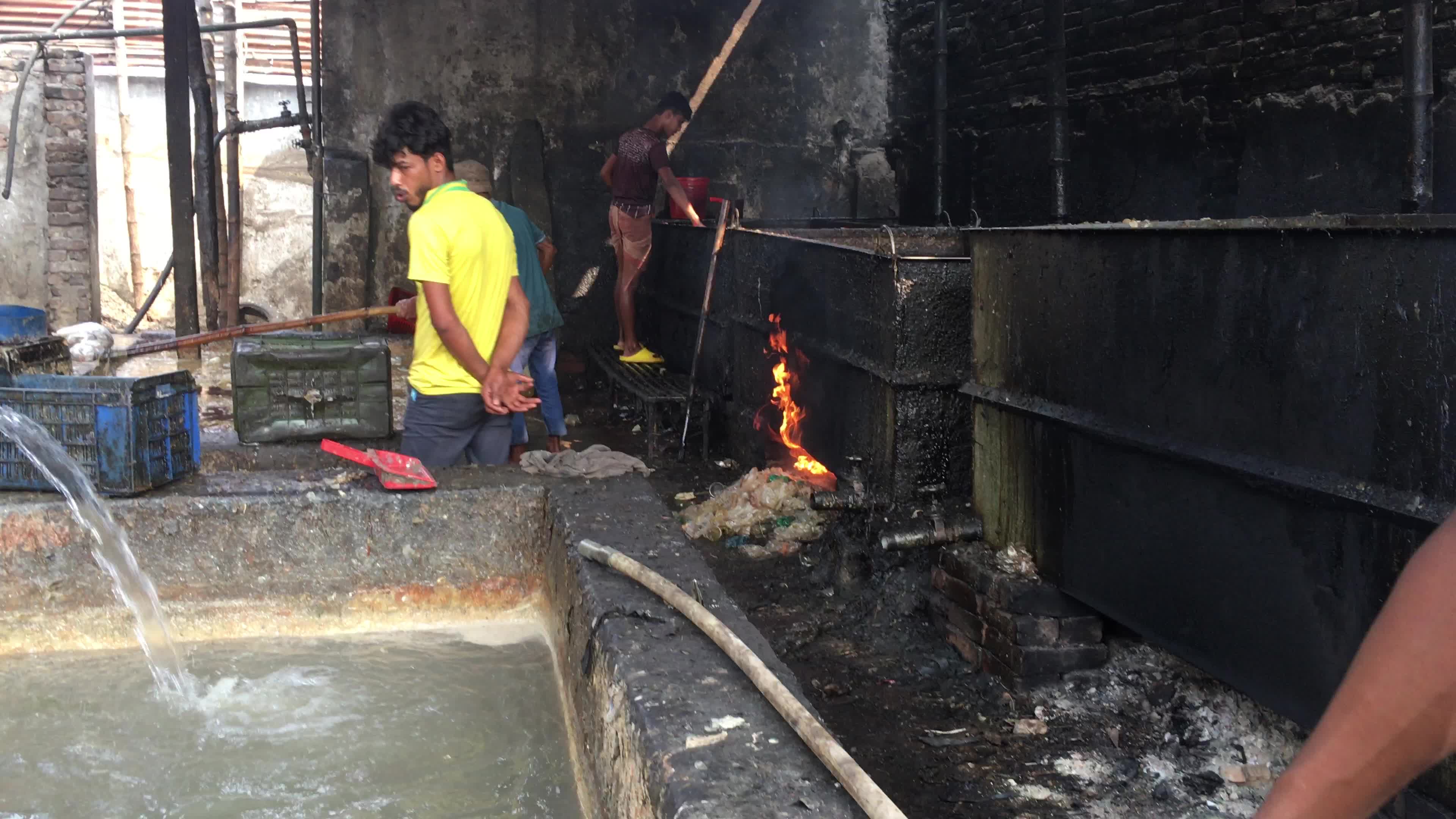 Fish By-product Processing Industry In Dhaka
