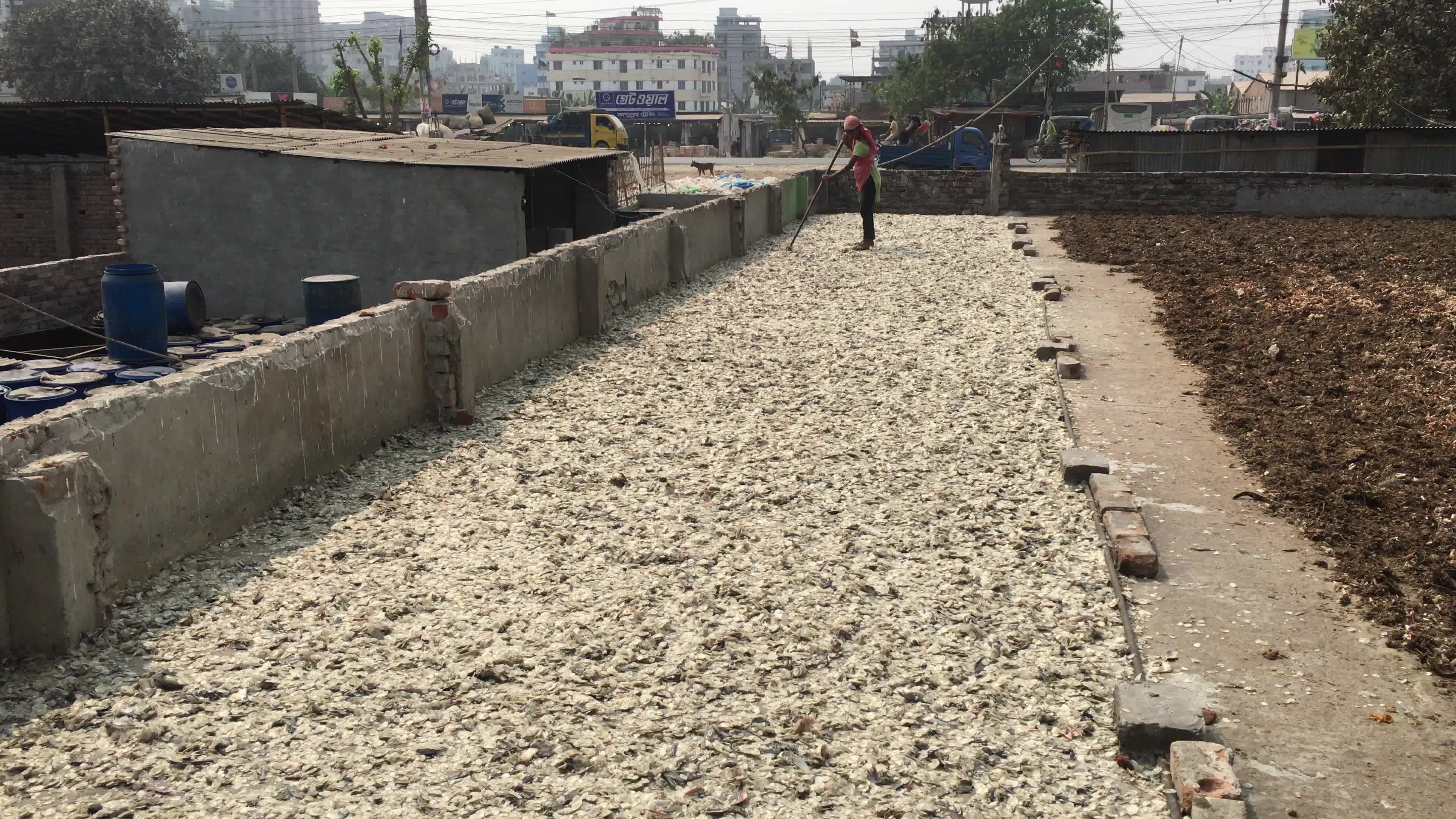 Fish By-product Processing Industry In Dhaka

