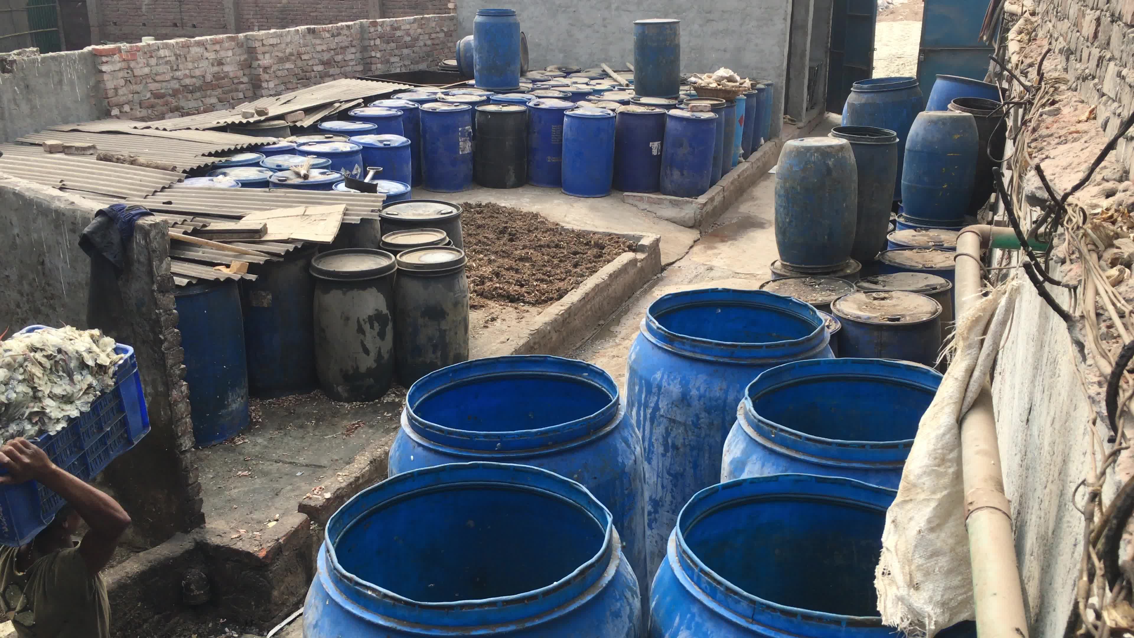 Fish By-product Processing Industry In Dhaka
