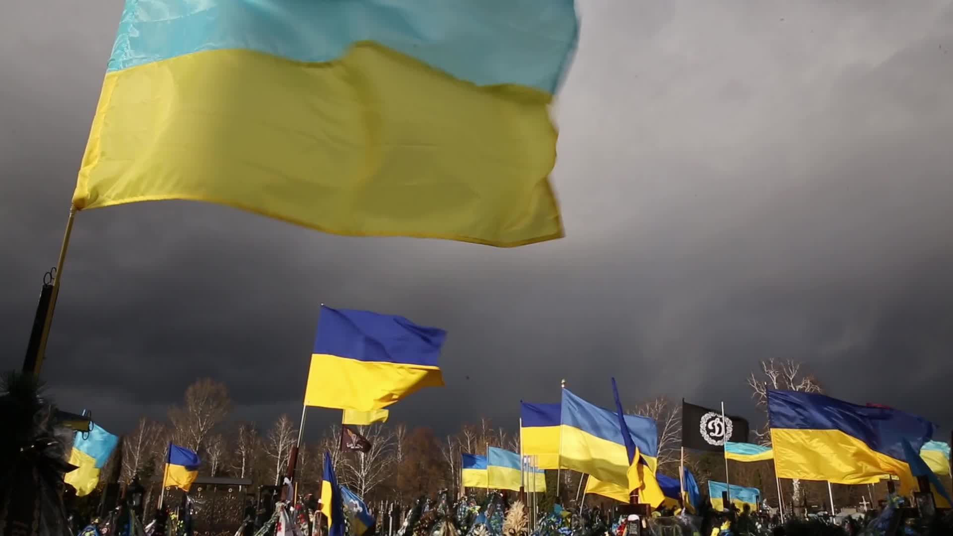 Cemetery of fallen soldiers in Kyiv, Ukraine