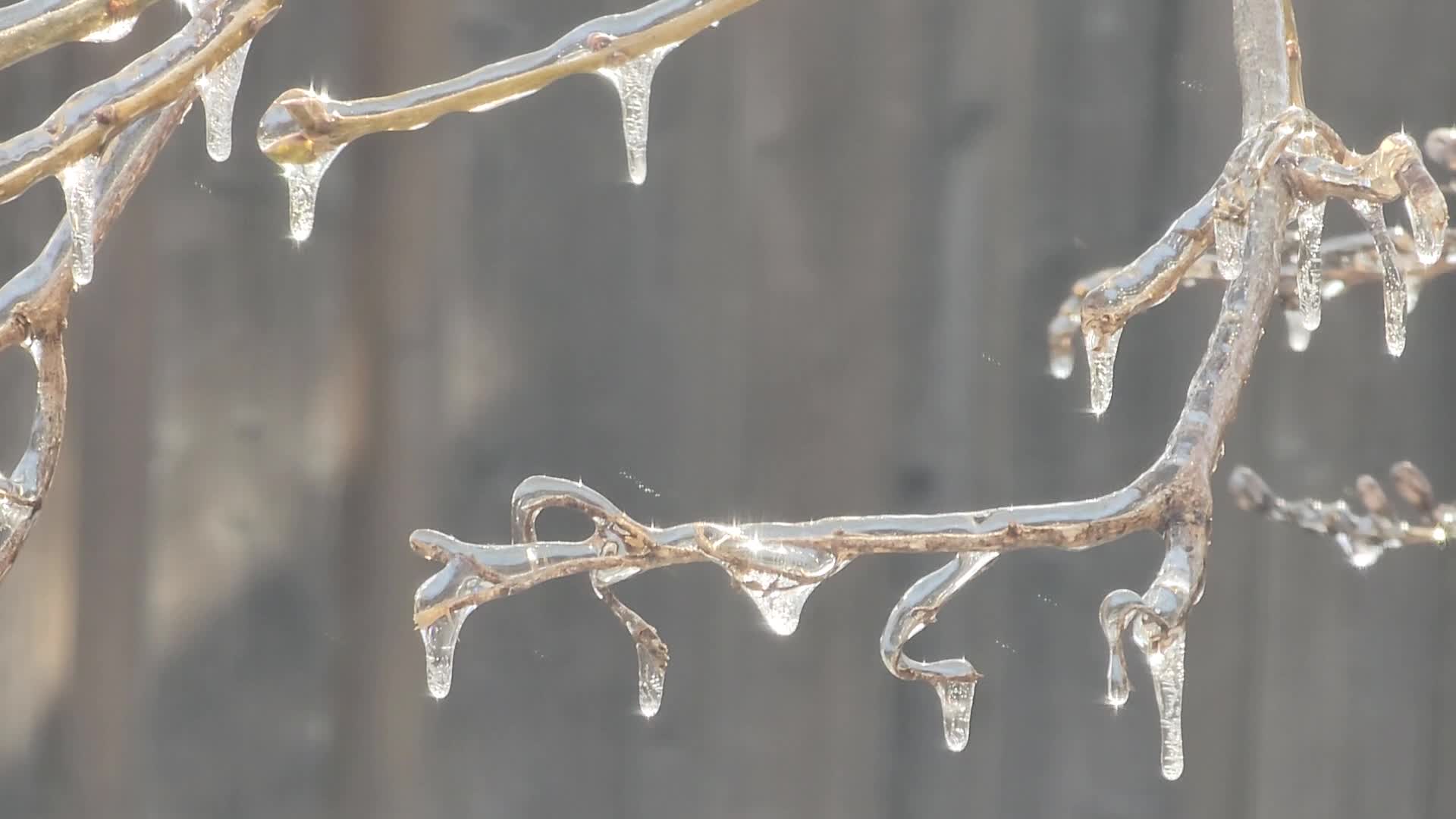 Ice storm in Toronto