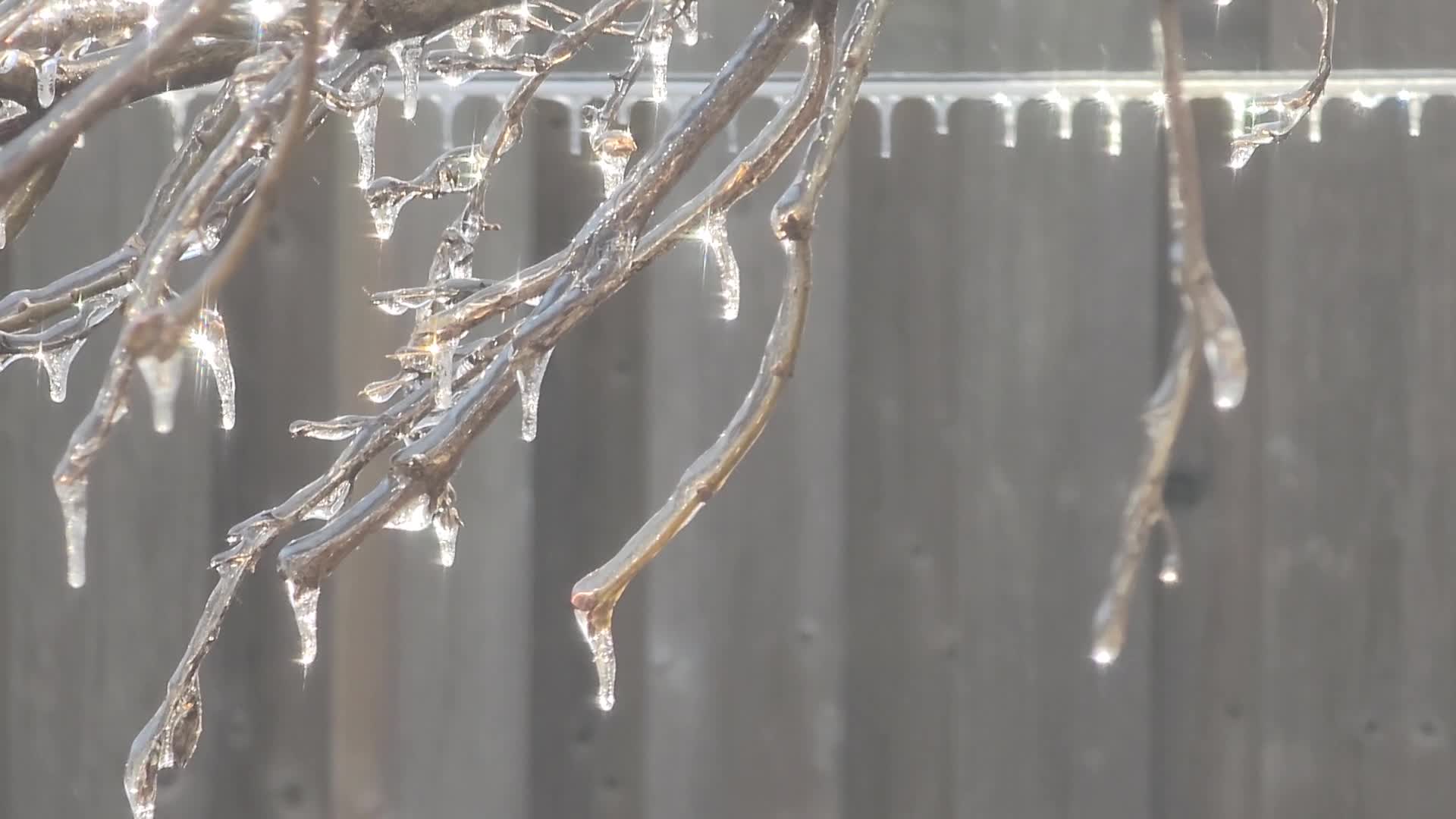 Ice storm in Toronto