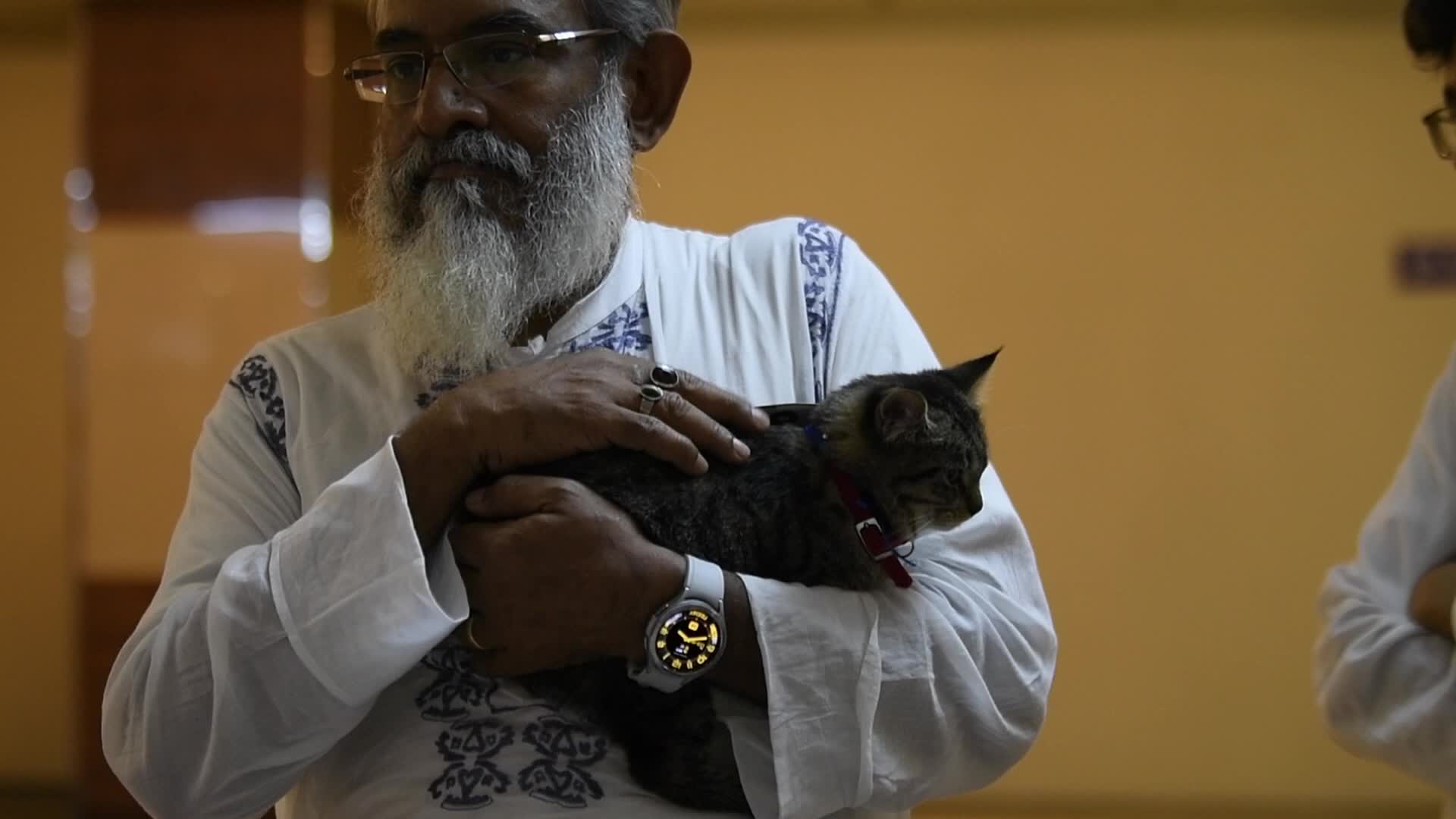 Cat Ramp Show In Dhaka