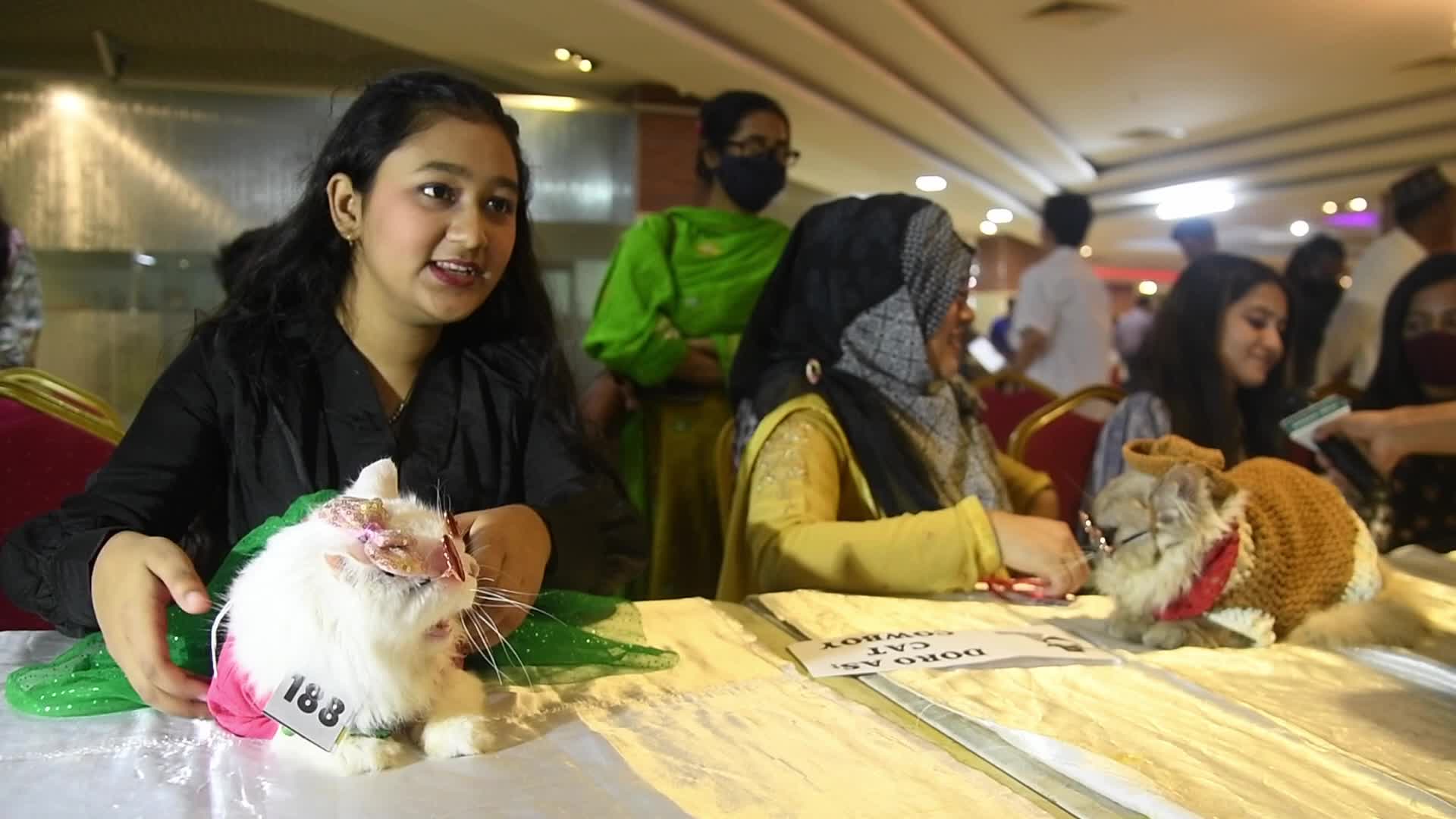 Cat Ramp Show In Dhaka